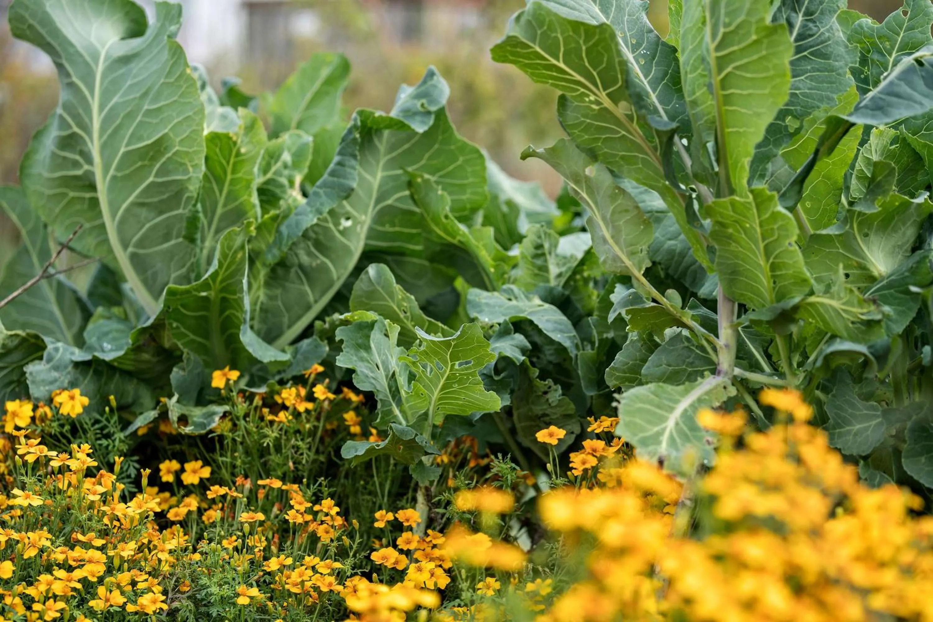 Property building in Best Western Hotel Hillerød
