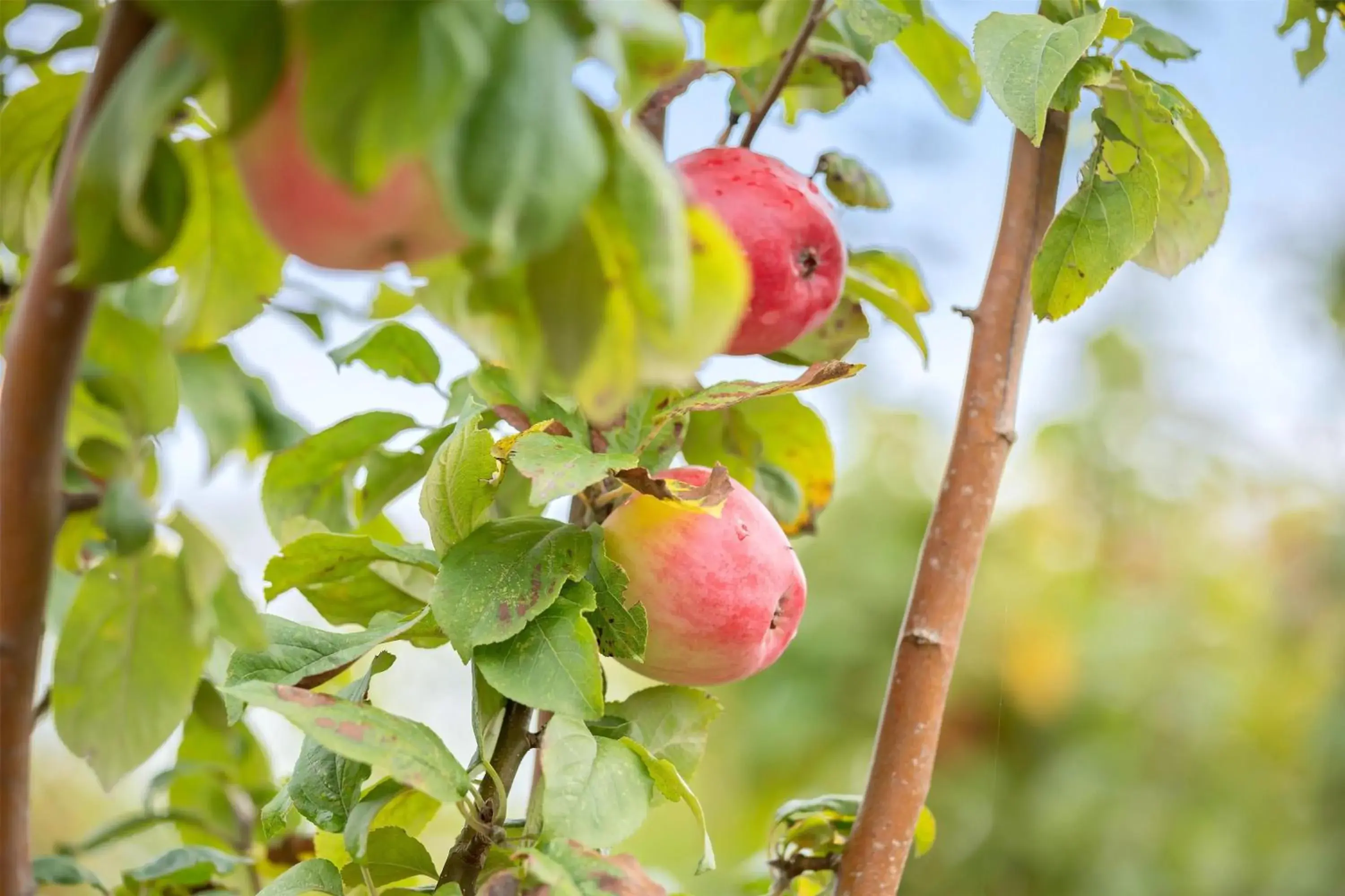 Property building in Best Western Hotel Hillerød Property building in Best Western Hotel Hillerød