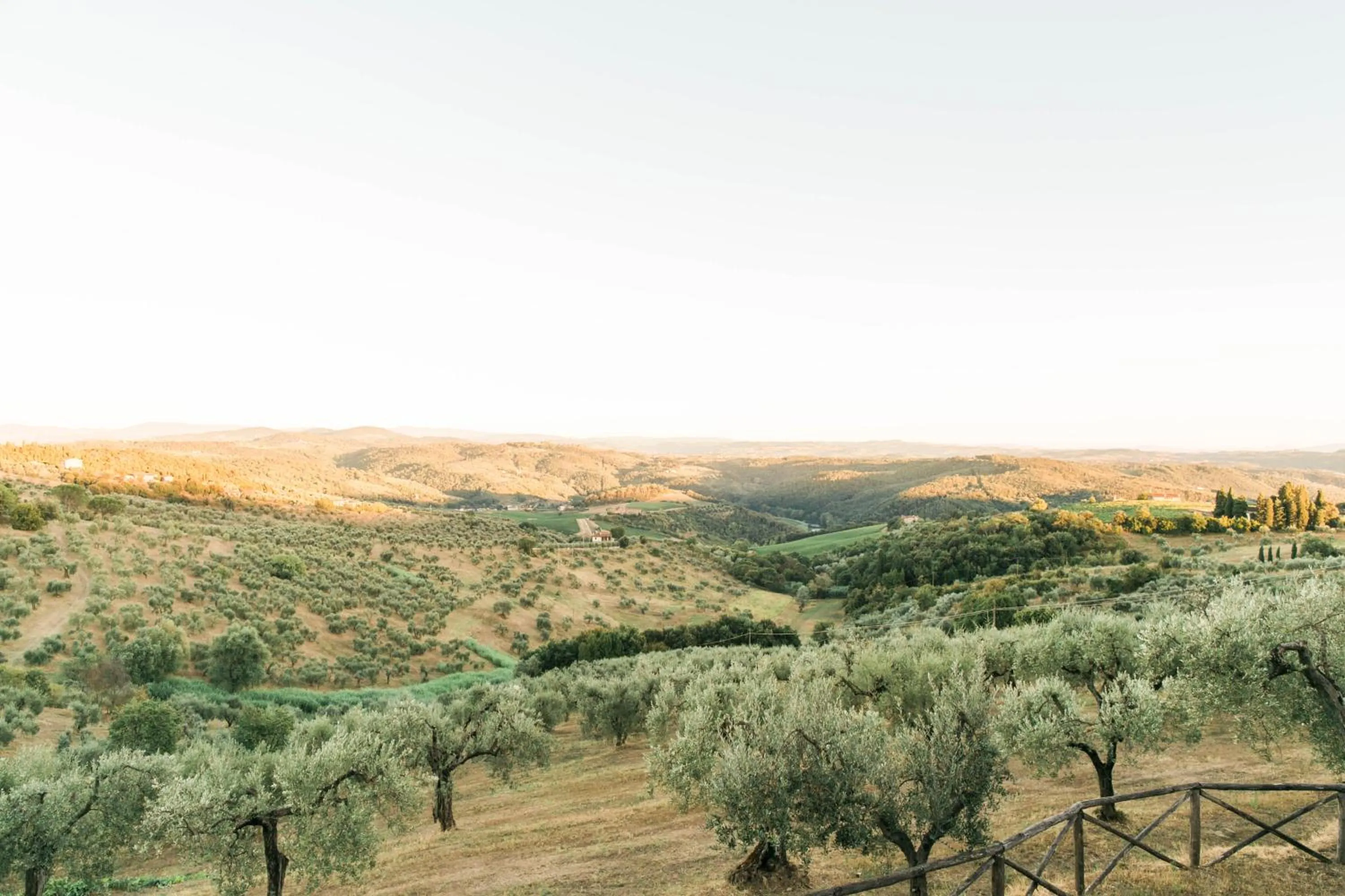 Natural landscape in Villa Le Calvane