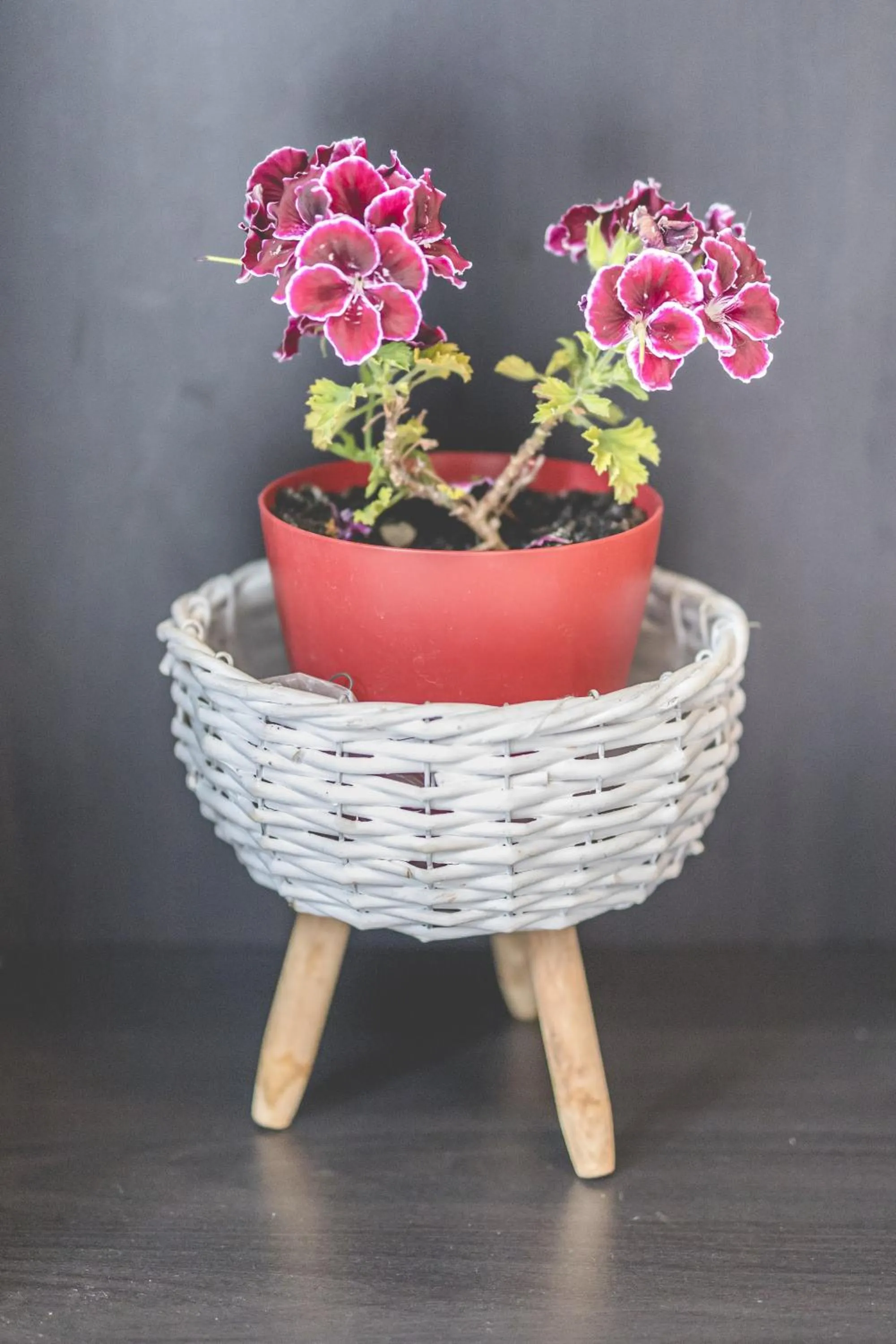 Other in Apartments Keko