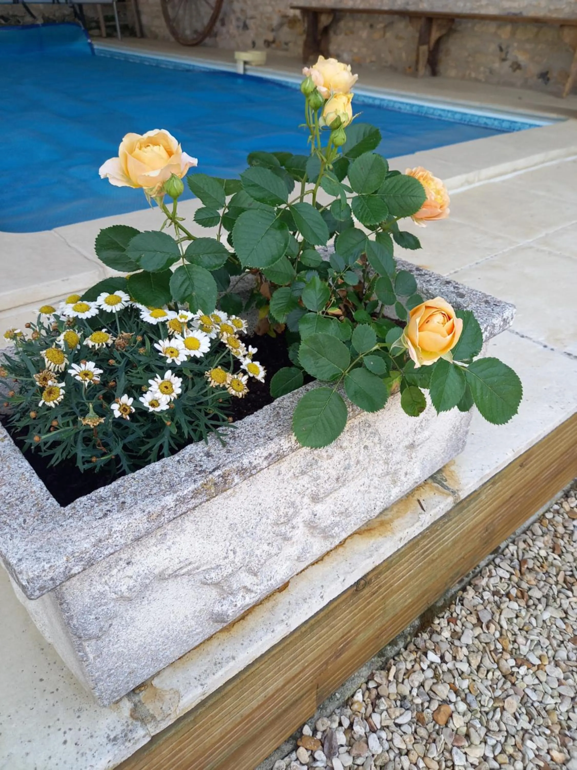 La charentaise ch d'hôtes ,Studio