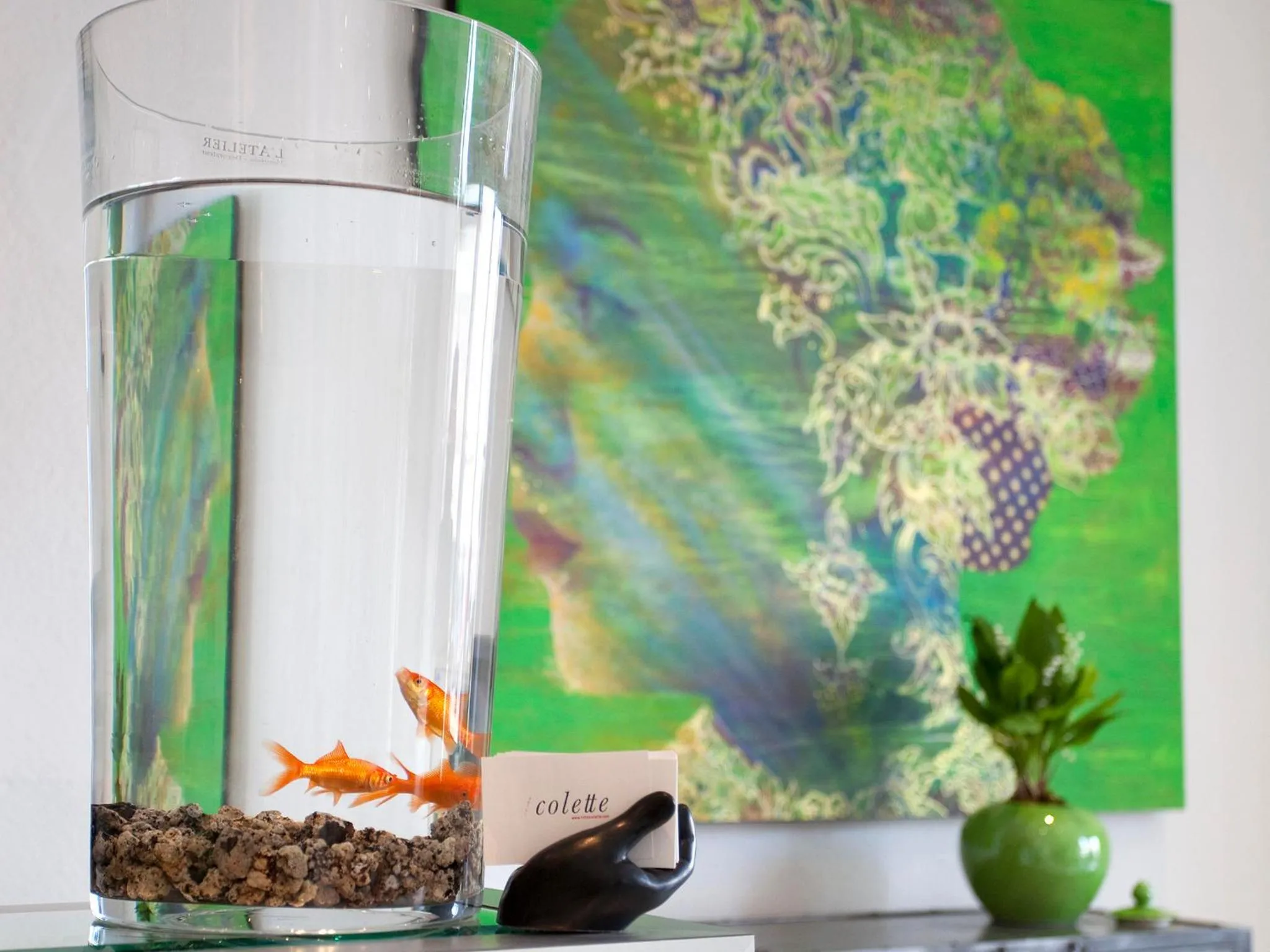 Lobby or reception in Hotel Colette