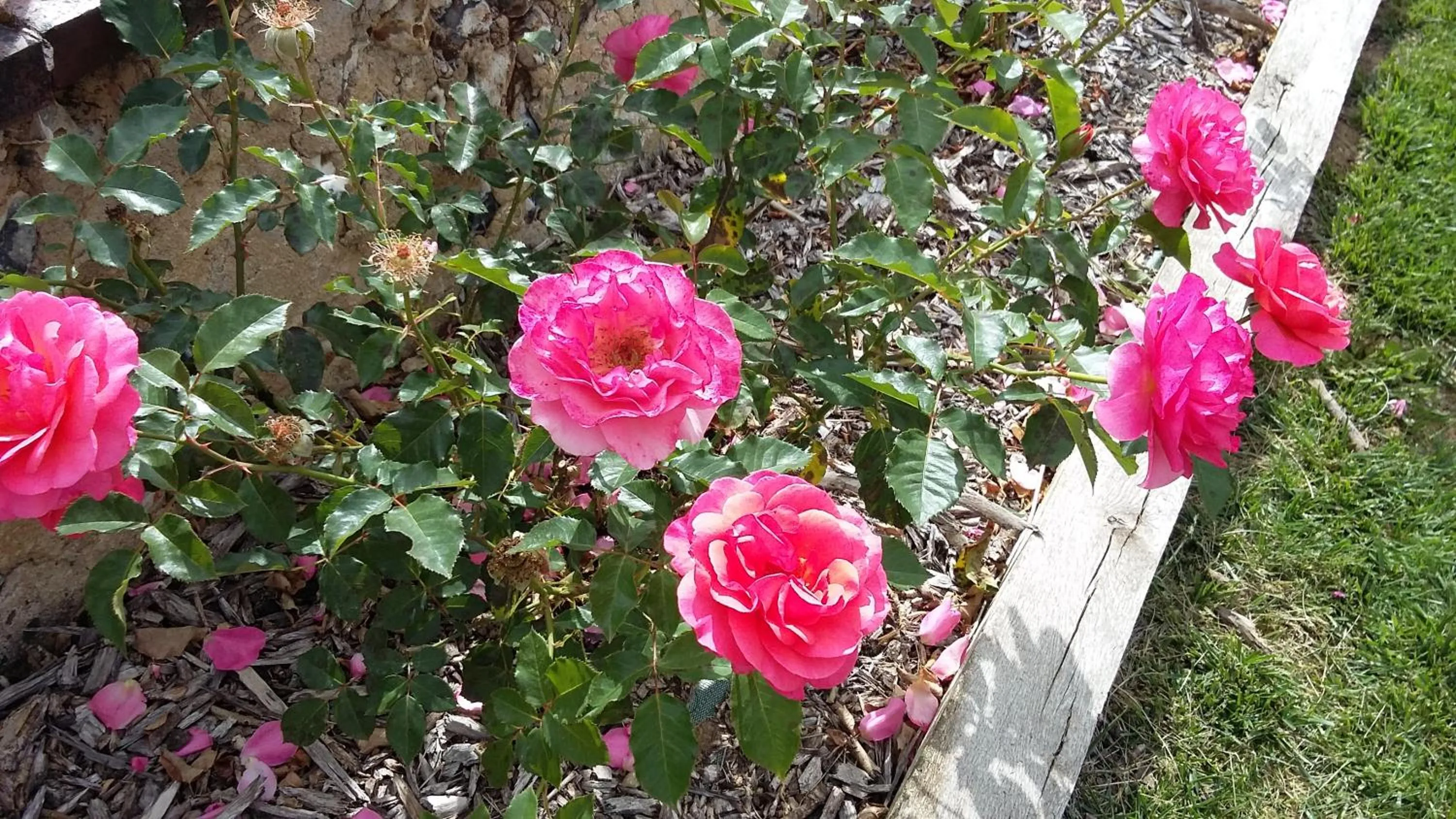 View (from property/room) in Hotel Les Aubépines