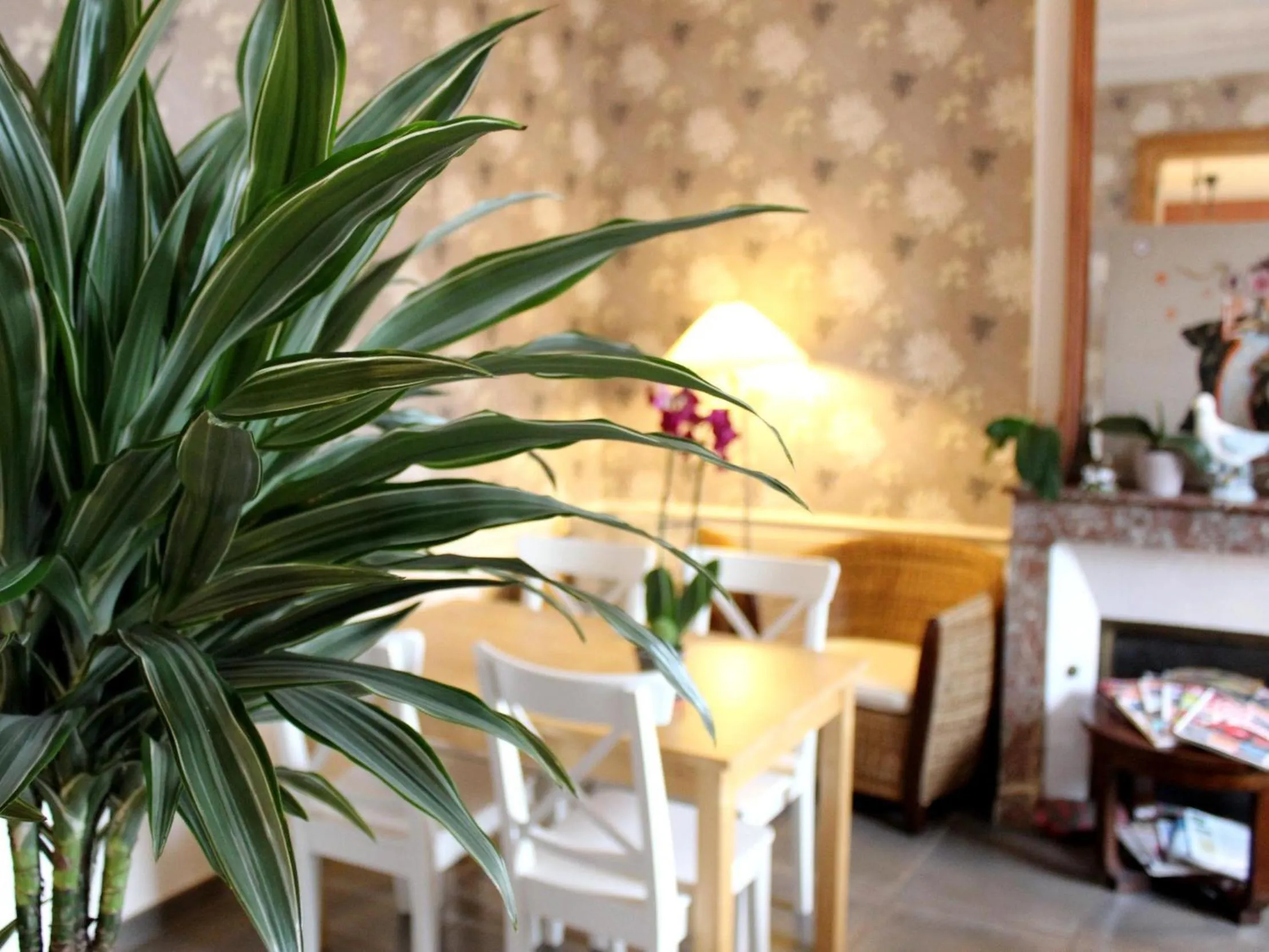 Lounge or bar in Hotel Les Aubépines