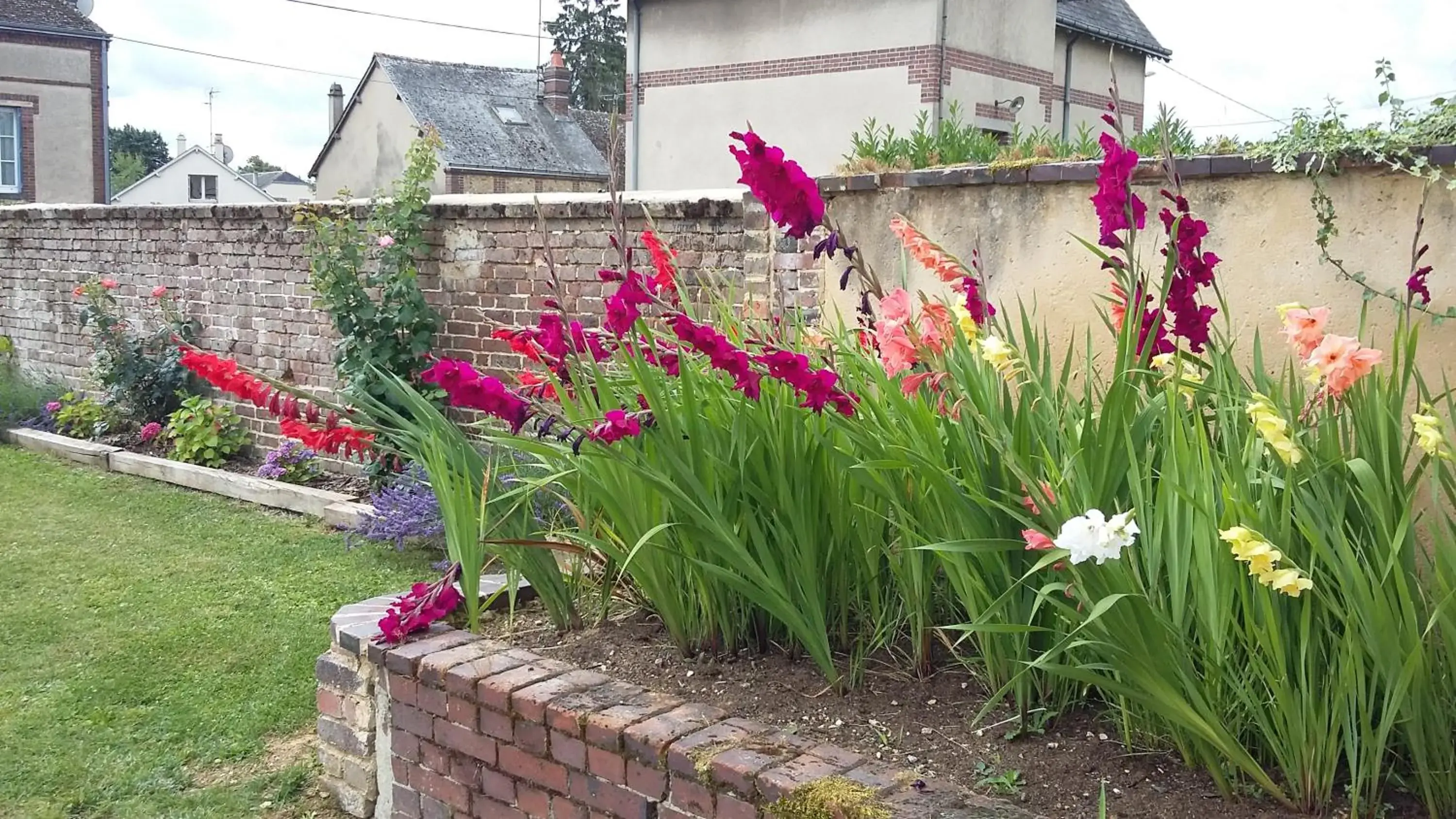Garden view in Hotel Les Aubépines Garden view in Hotel Les Aubépines