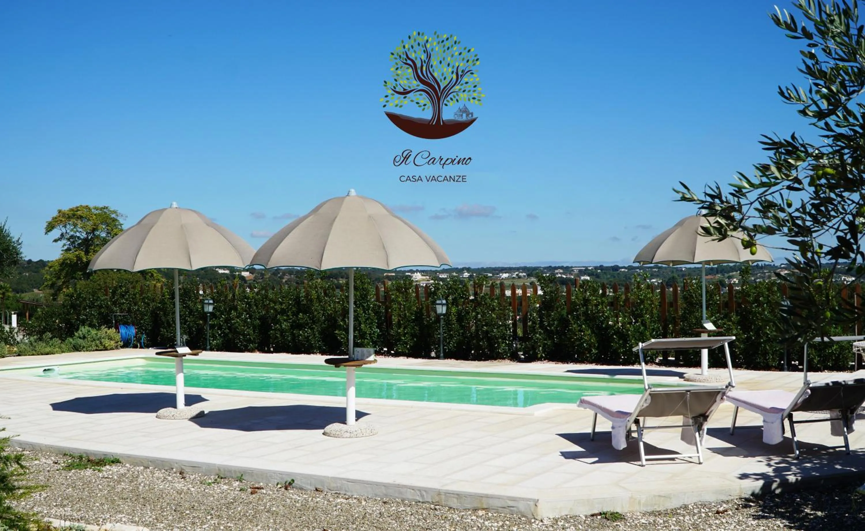 Swimming pool in Il Carpino