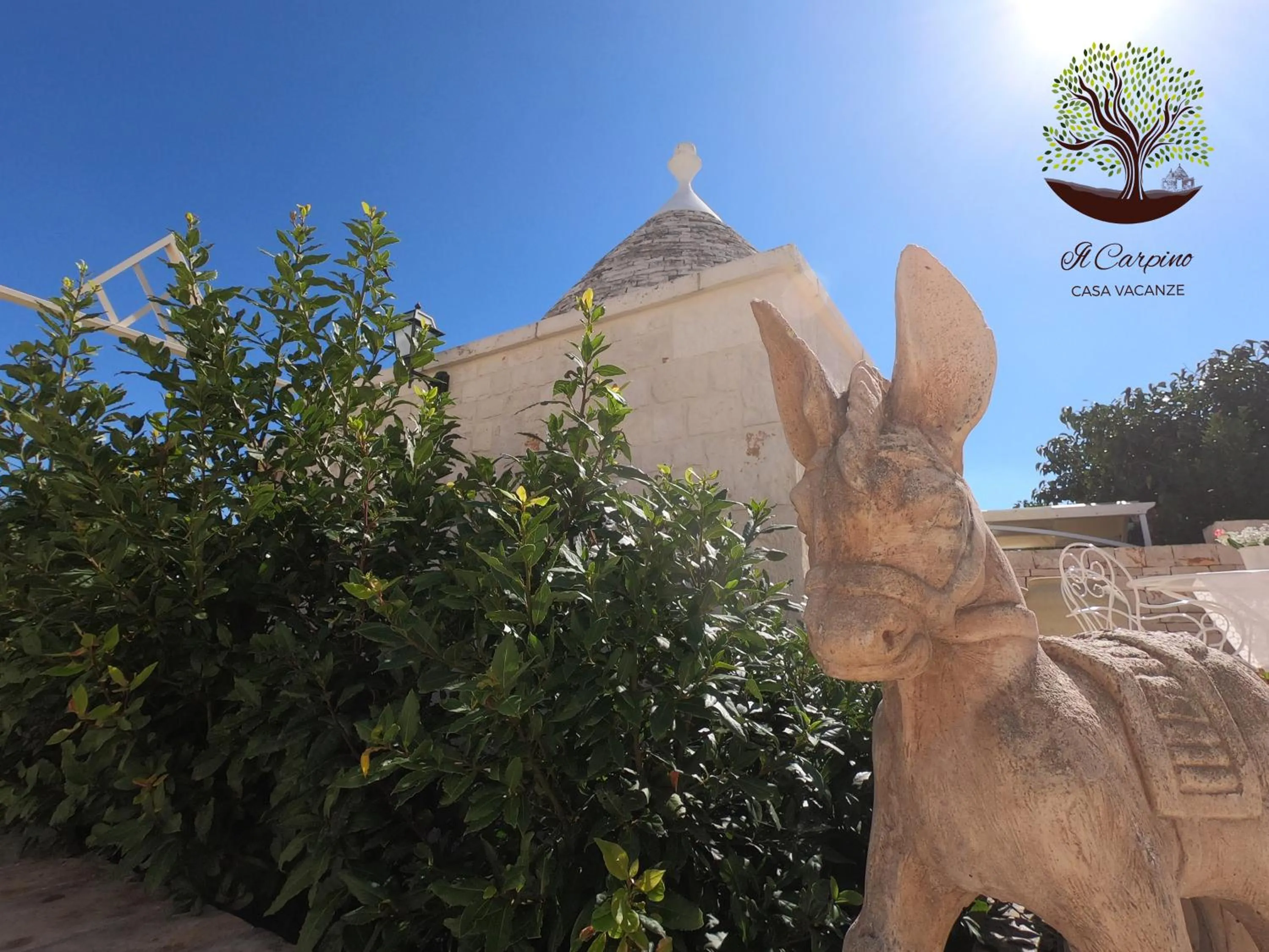 Day in Il Carpino