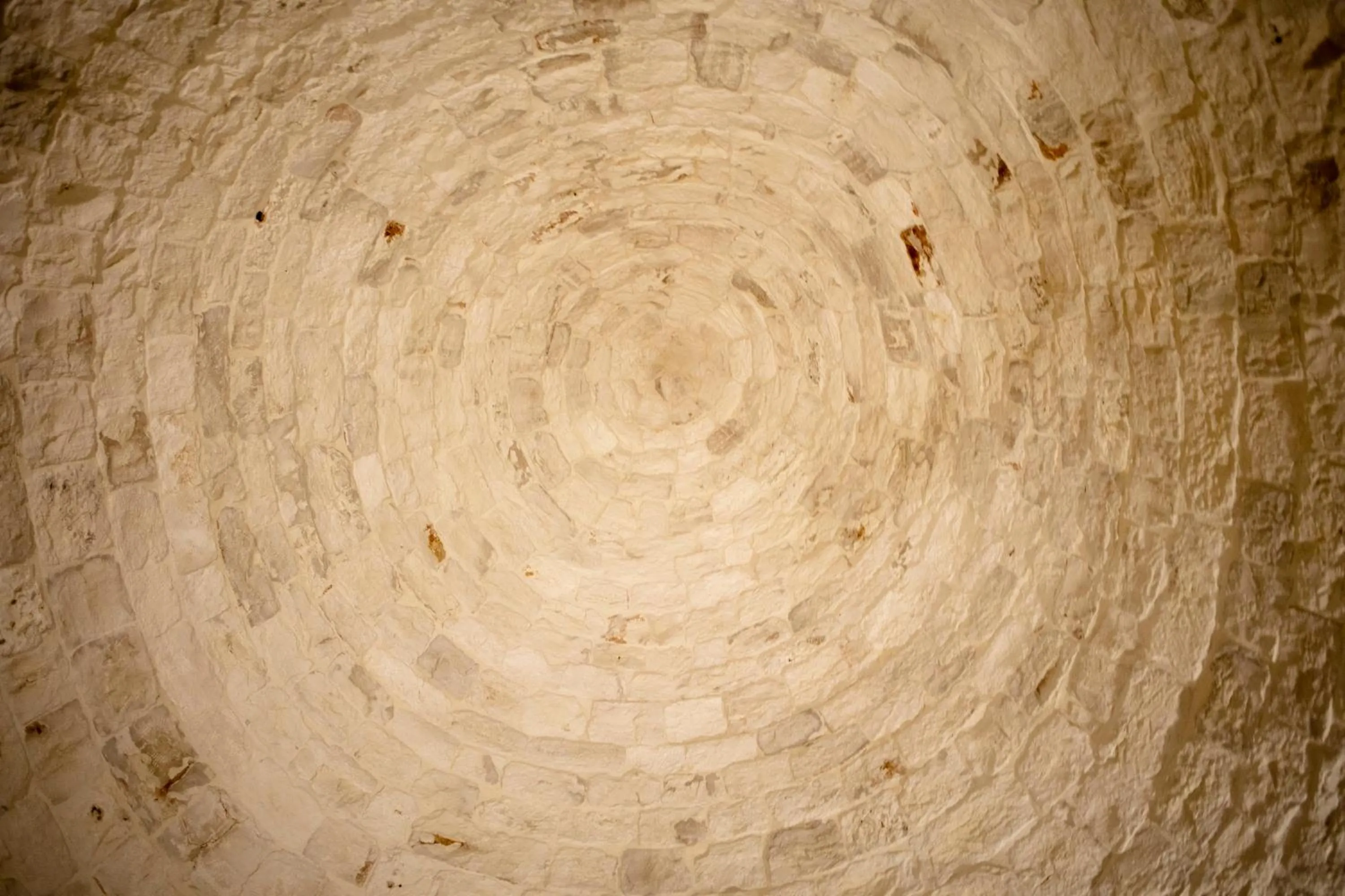 Photo of the whole room in Il Carpino