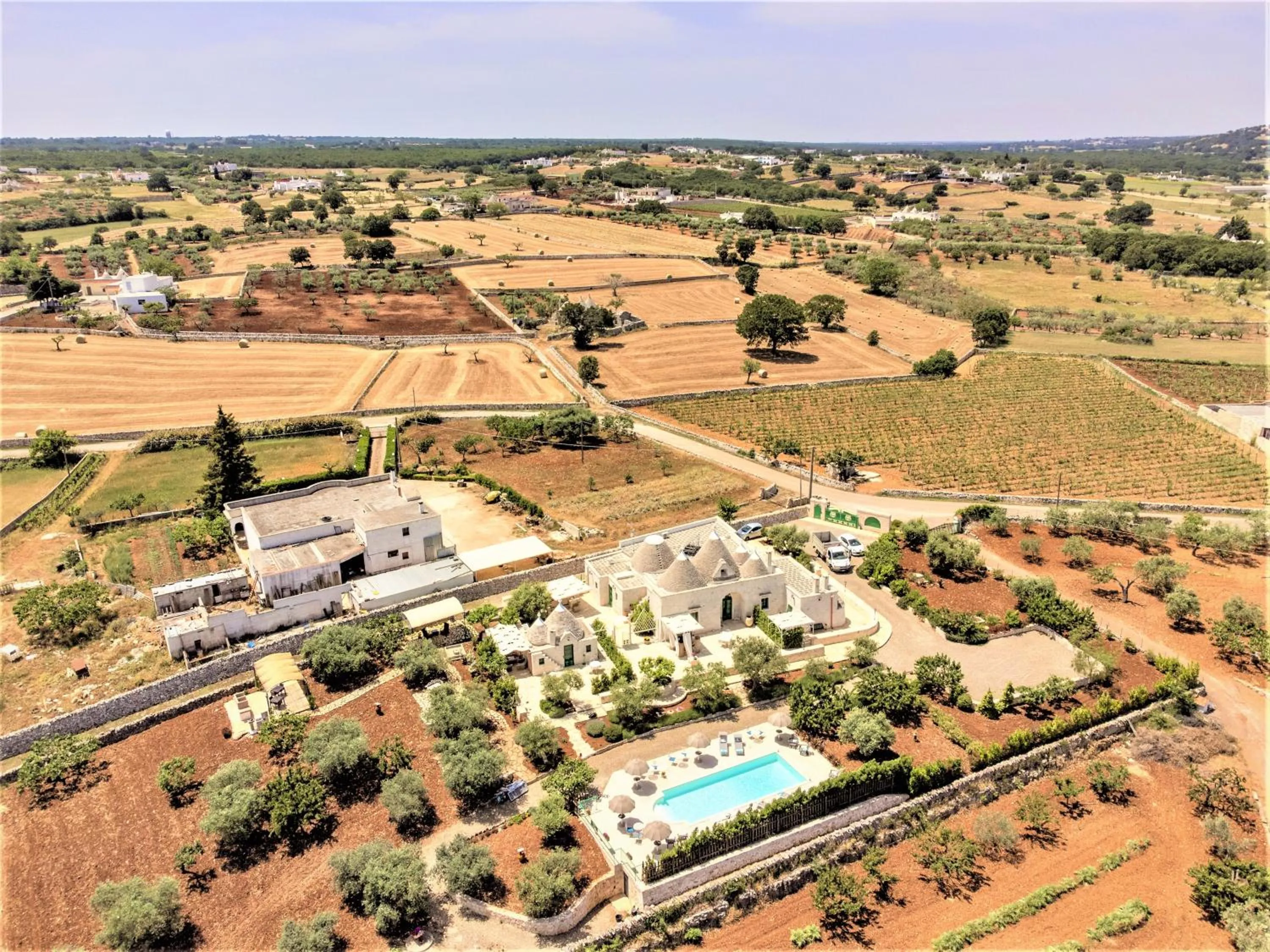 Bird's eye view in Il Carpino
