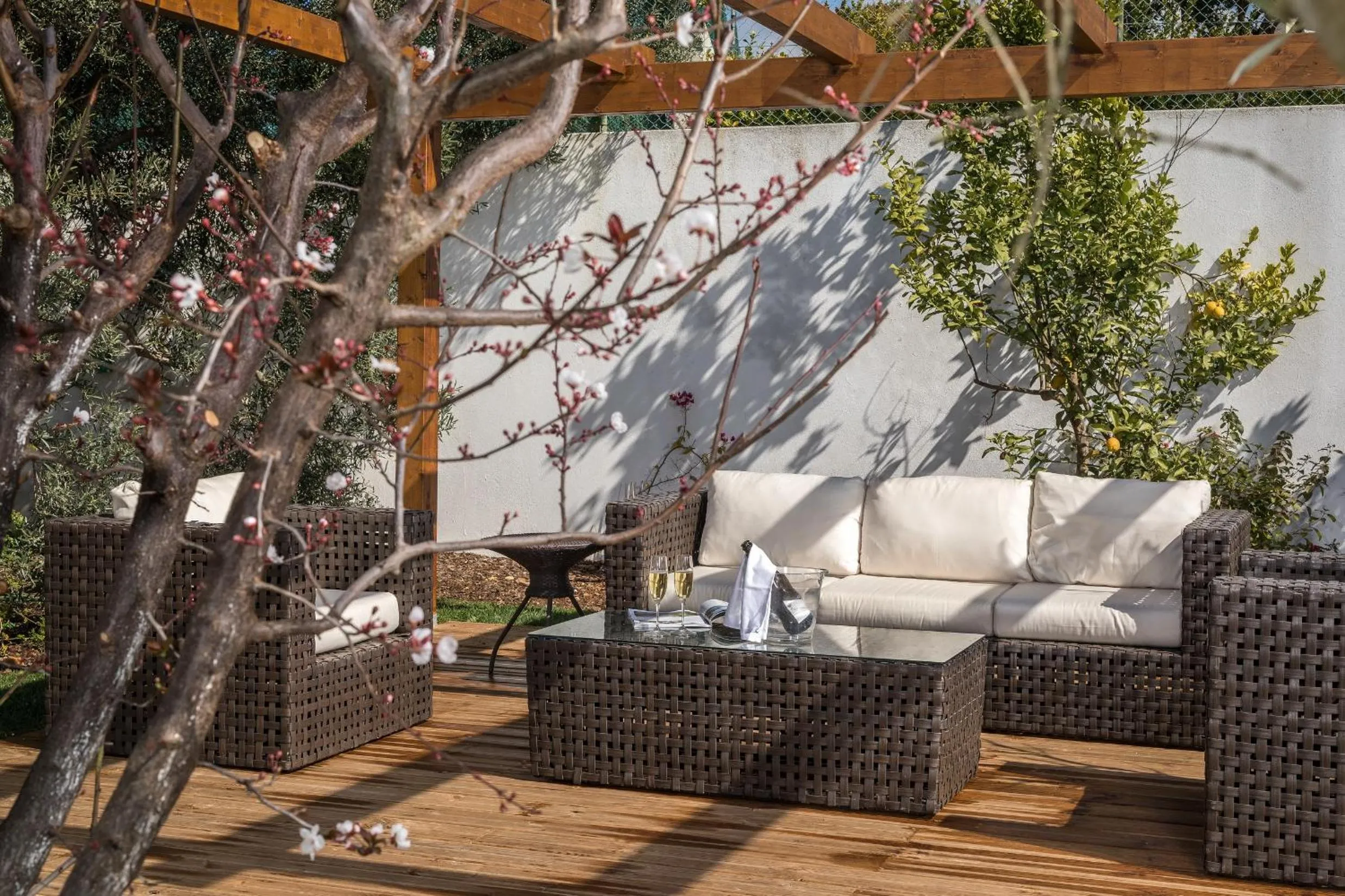 Garden in Casa da Praia