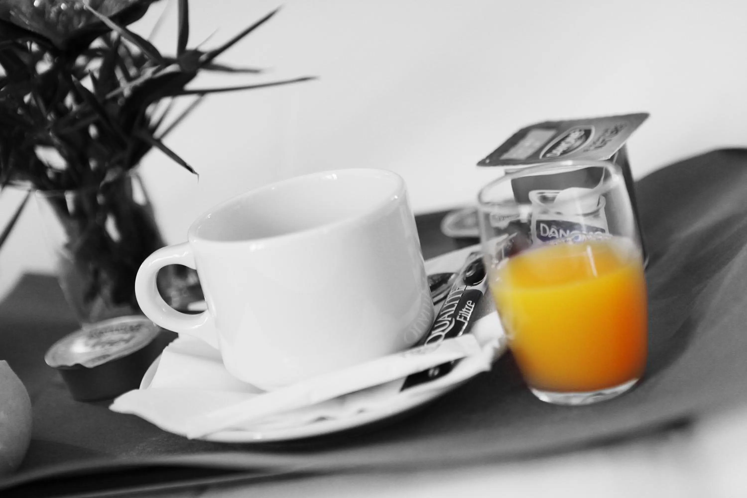 Drinks in Hotel Le Coudon