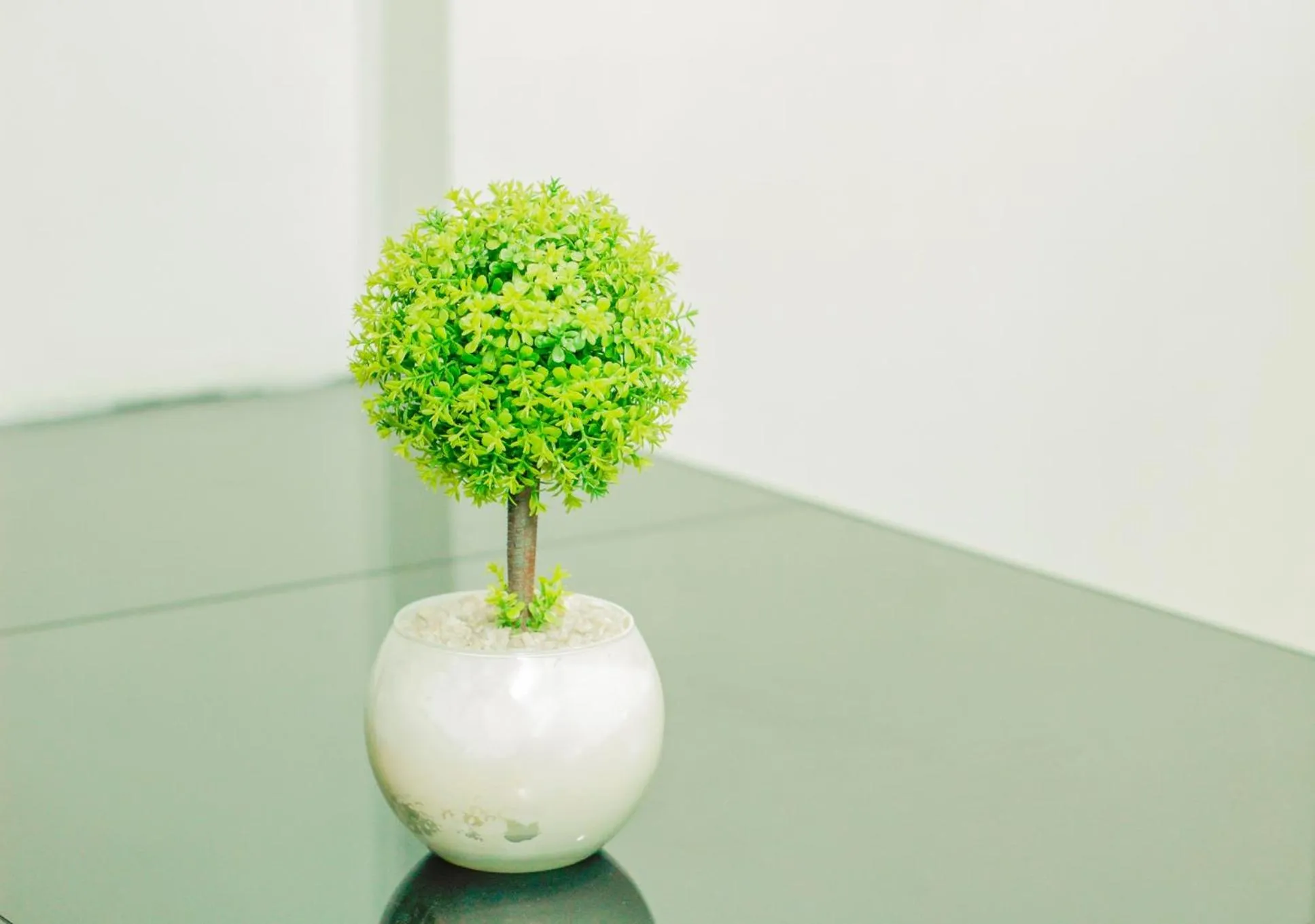 Nomads MNL Backpackers Homestay - near Airport