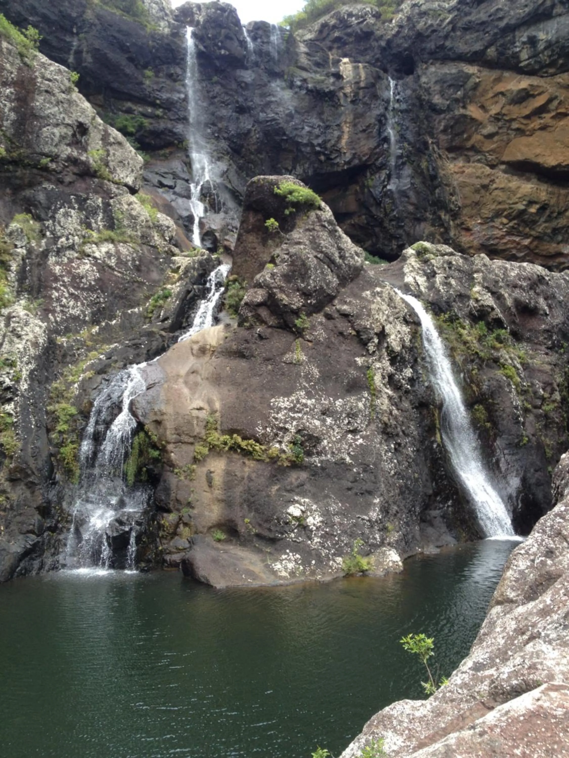 Property building in Green Discovery B&B Tamarind Falls 7 Cascades