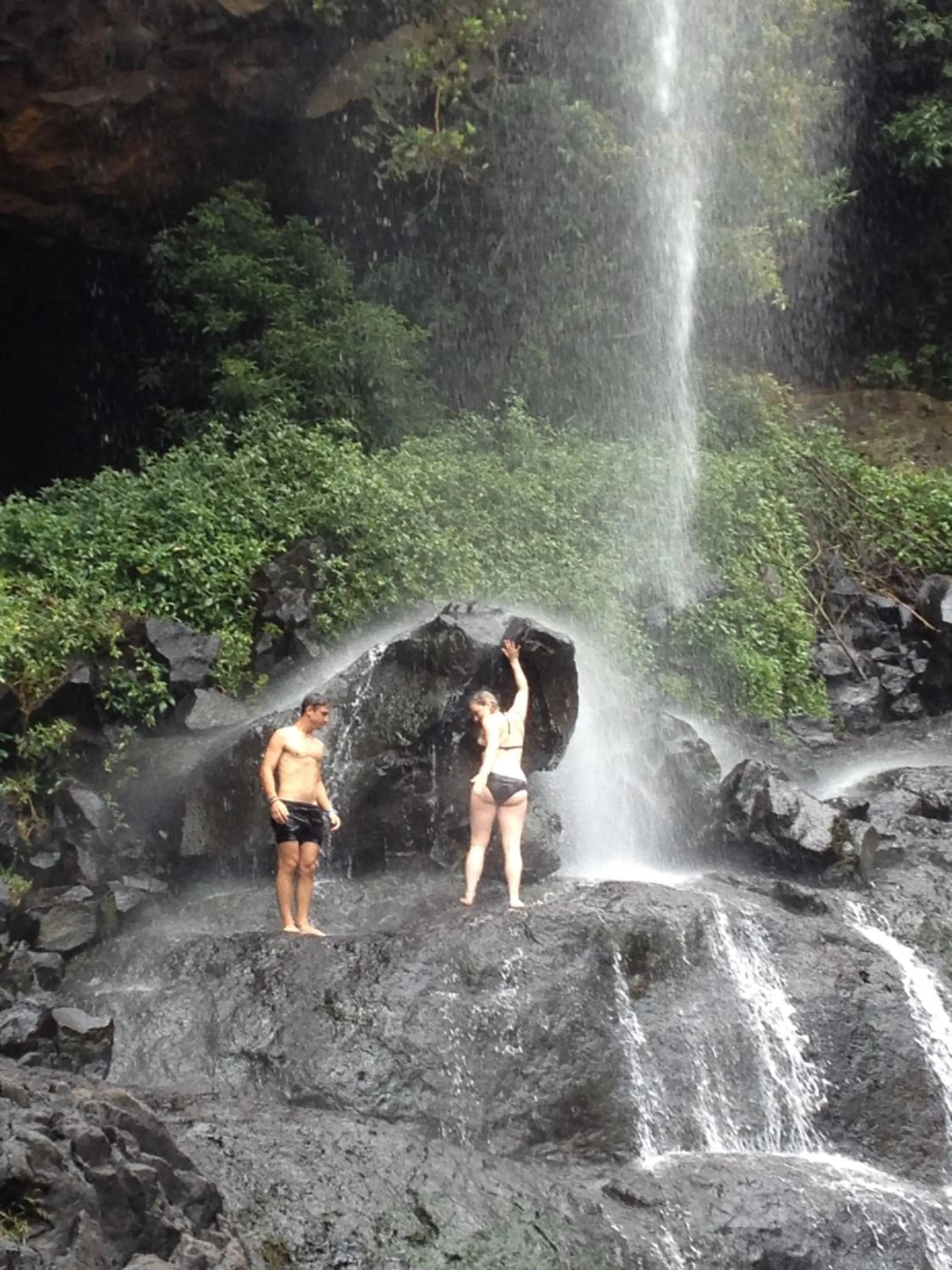 Property building in Green Discovery B&B Tamarind Falls 7 Cascades