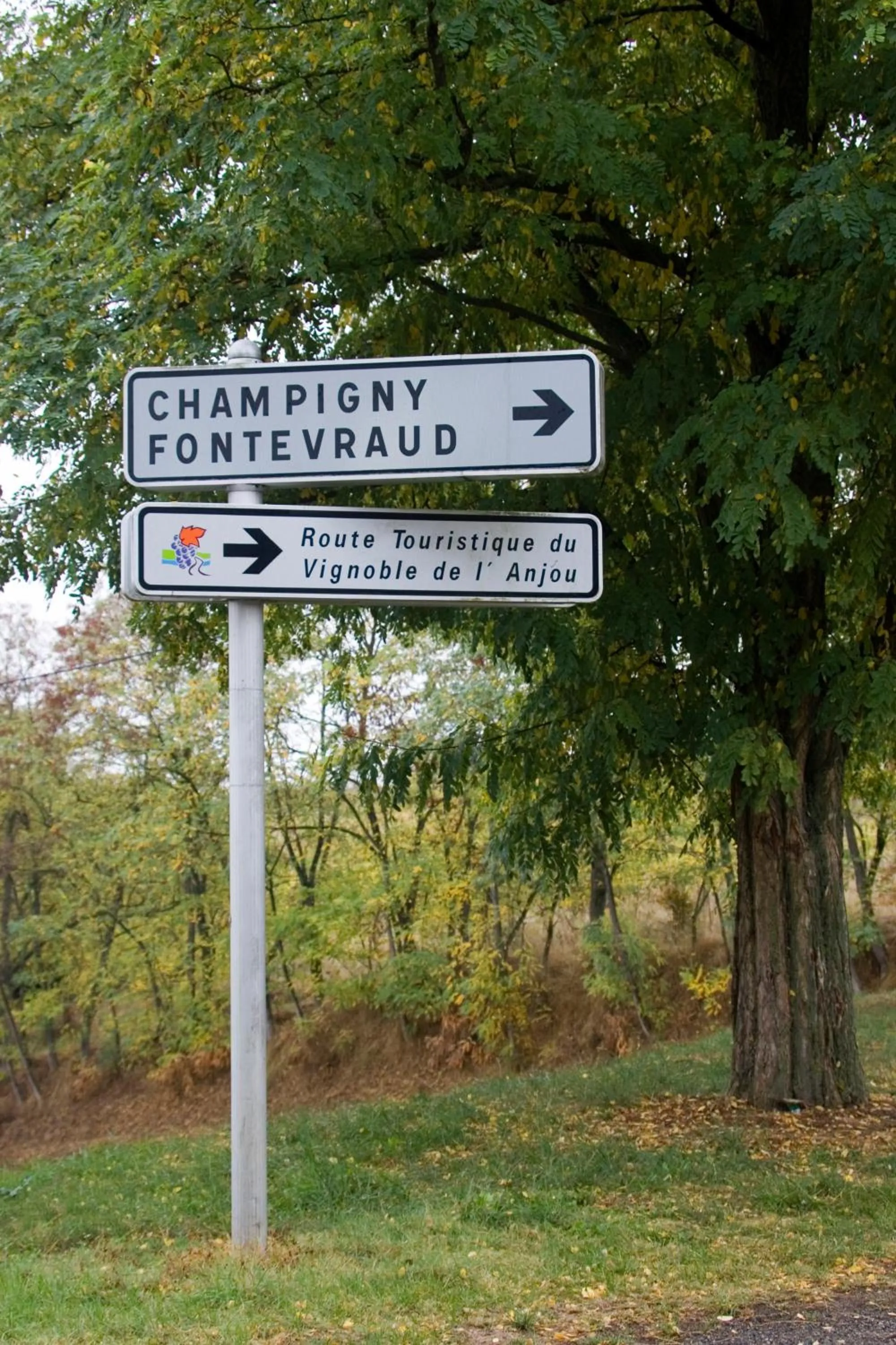Activities in Logis Hotel La Croix Blanche Fontevraud