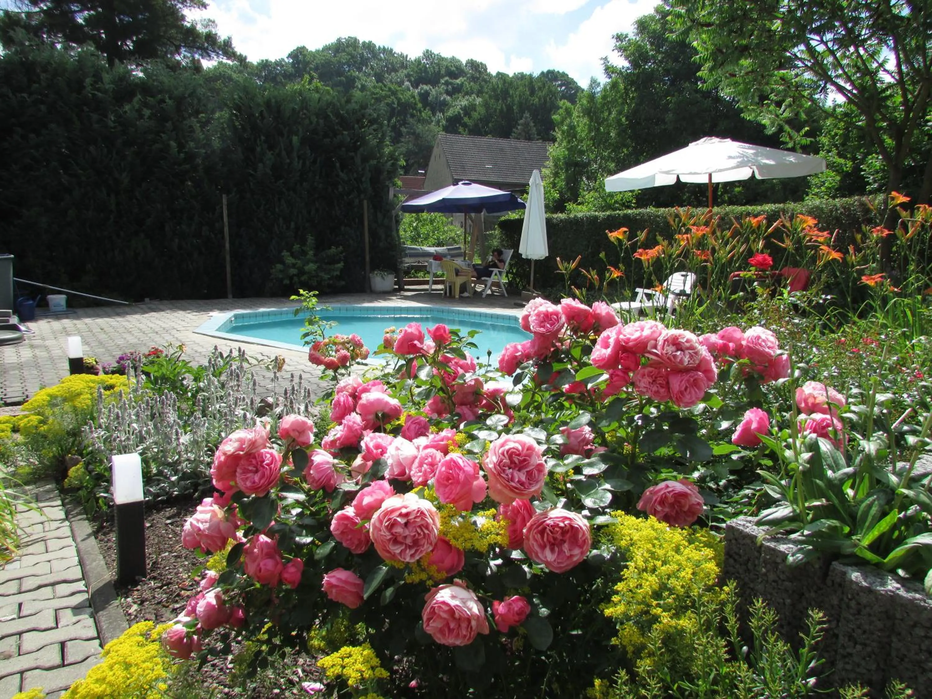Garden in NoOaks