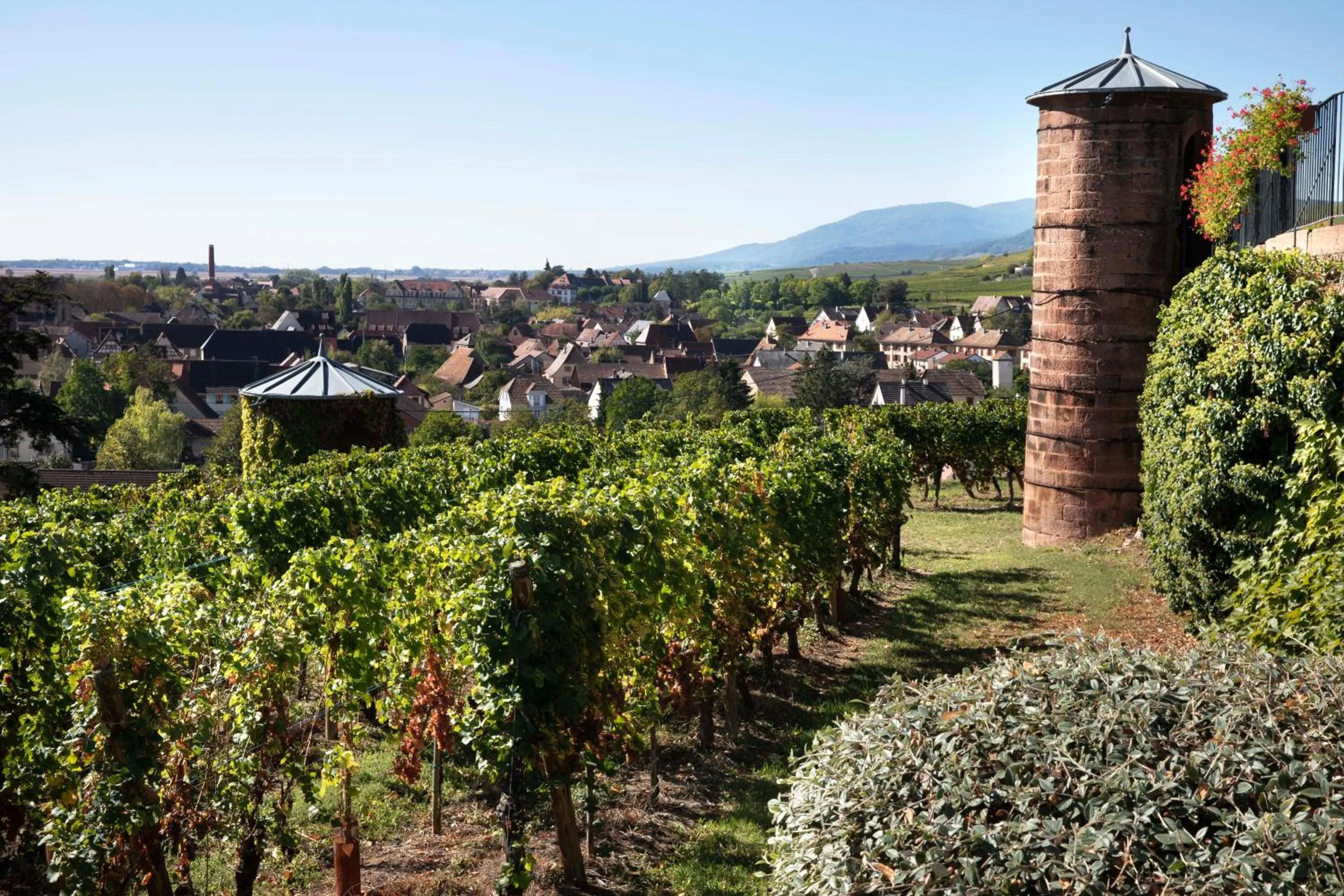 Landmark view in Château d'Isenbourg & SPA