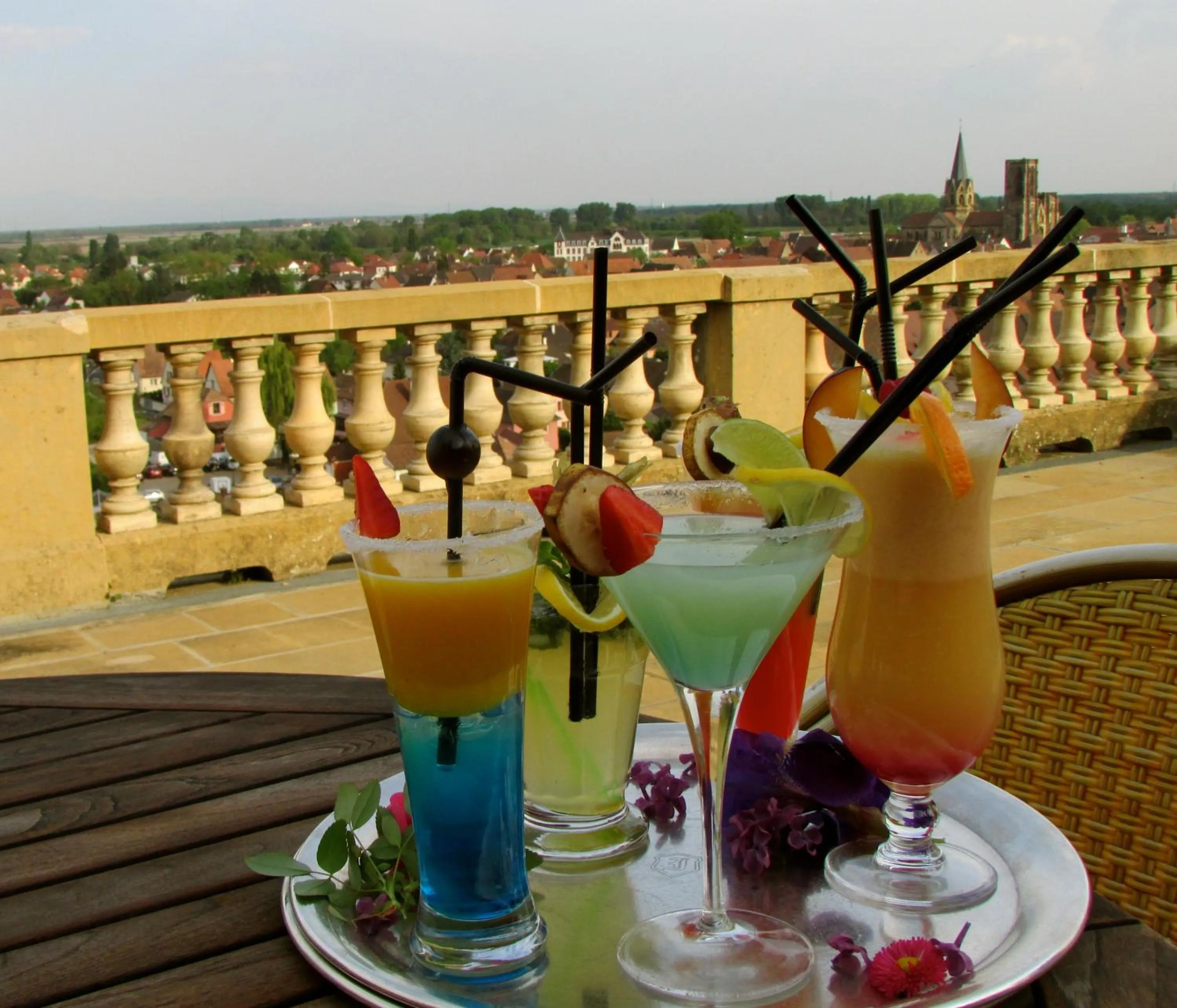 Lounge or bar in Château d'Isenbourg & SPA