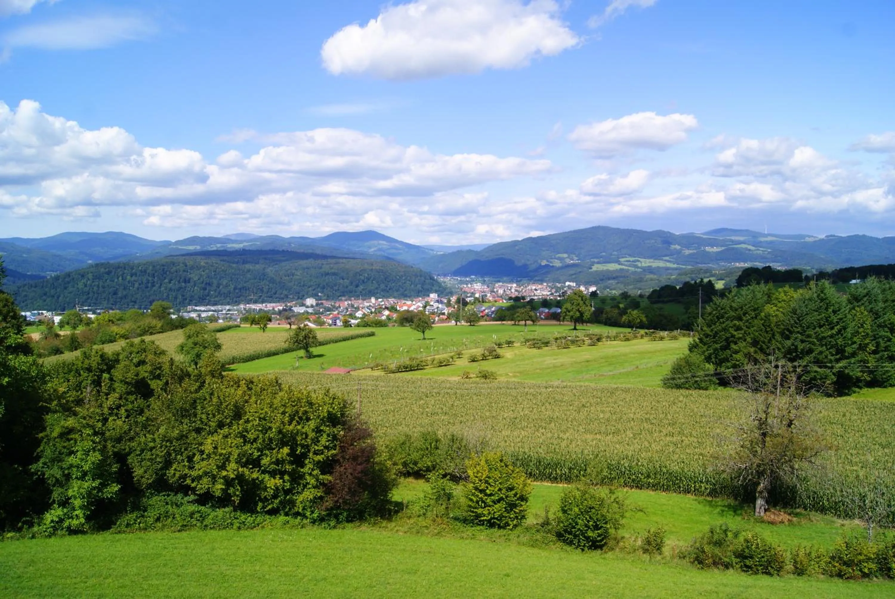 Natural landscape in Hotel Hohe Flum