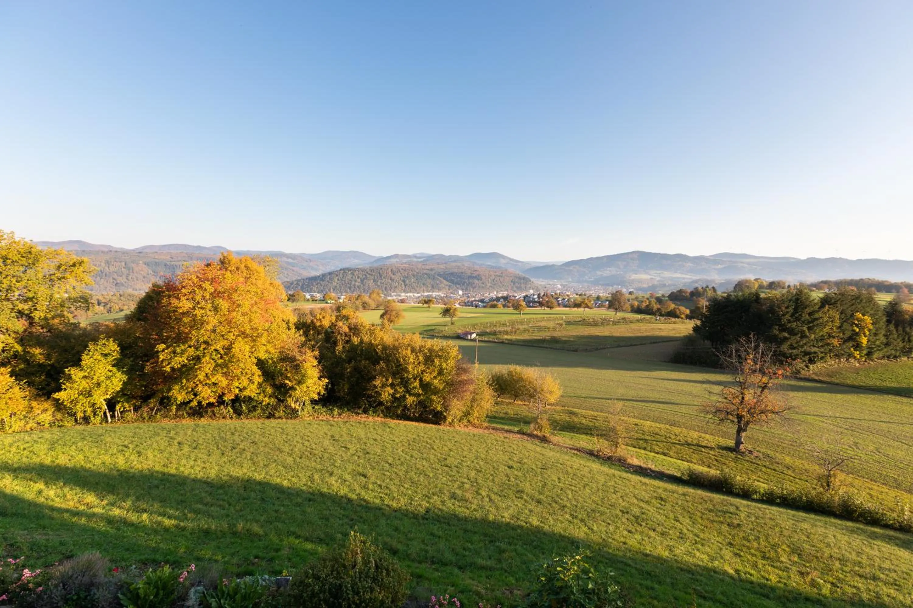 View (from property/room) in Hotel Hohe Flum
