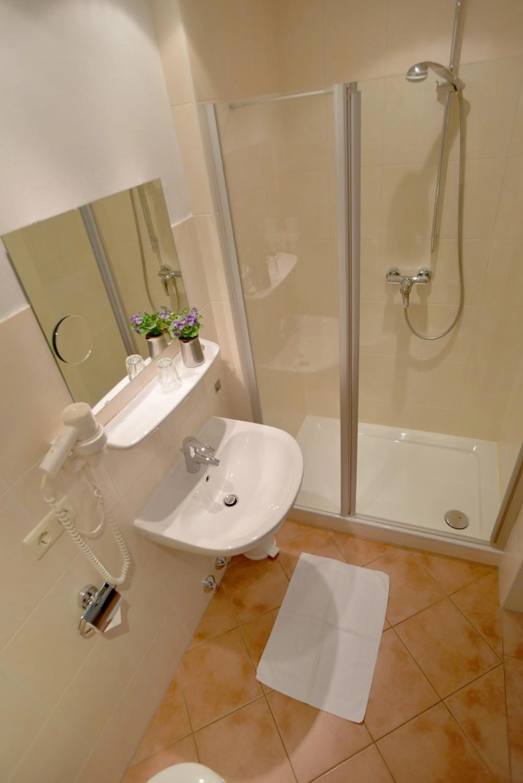 Decorative detail, Bathroom in Gasthof Grüner Baum