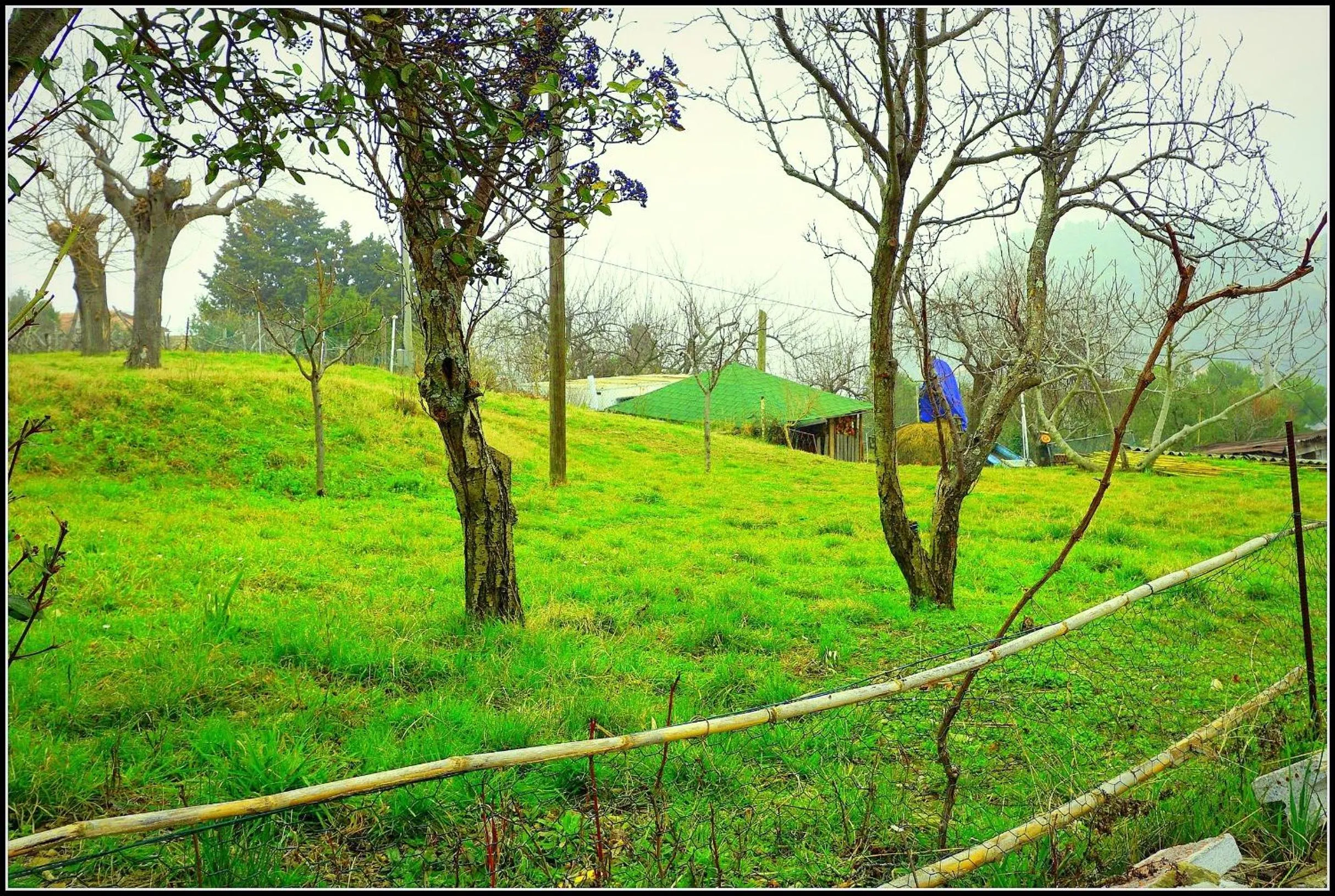 Natural landscape in Apartmaji sončne terase - Sunny Terraces Apartments