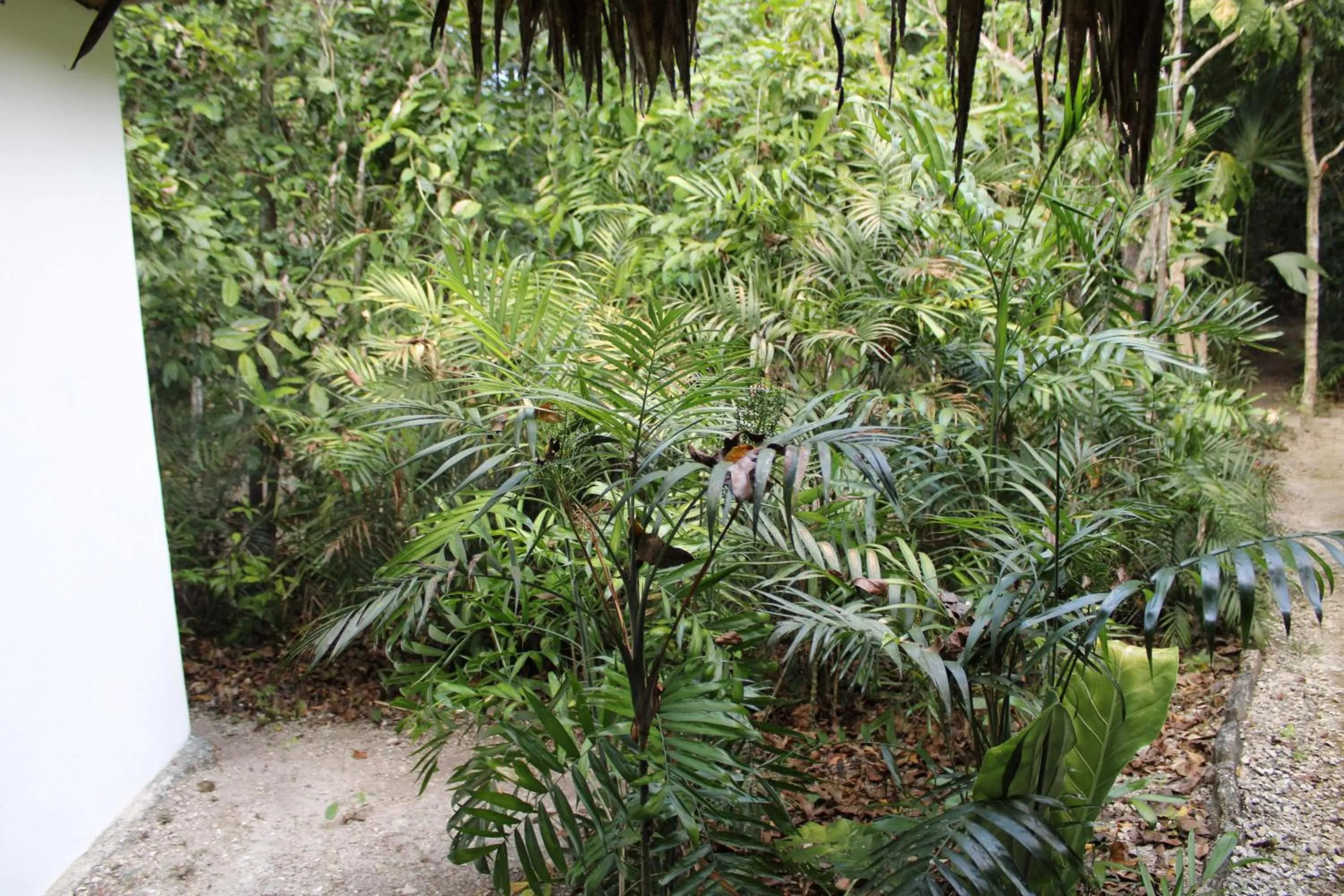 Garden view in Posada del Cerro