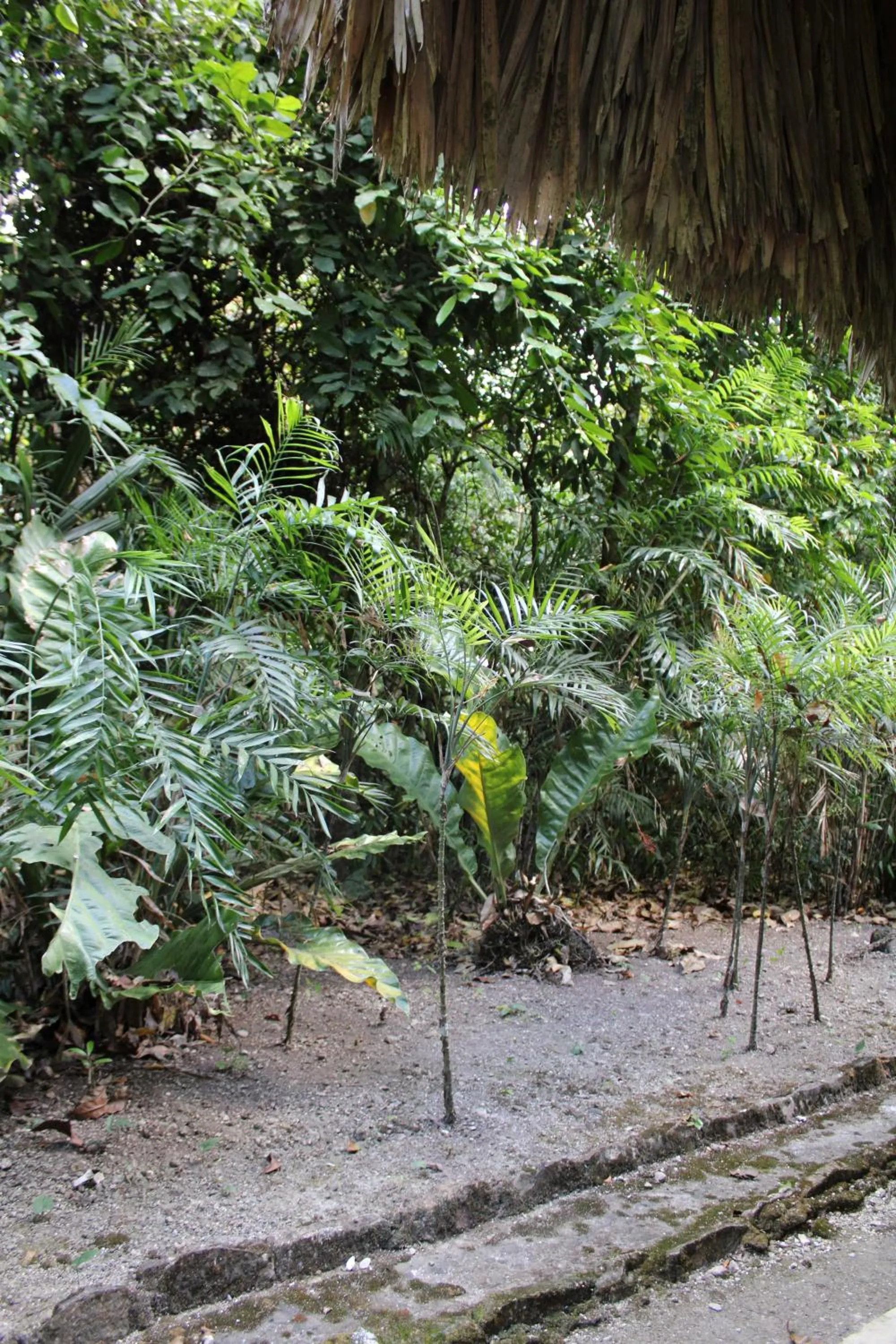 Natural landscape in Posada del Cerro
