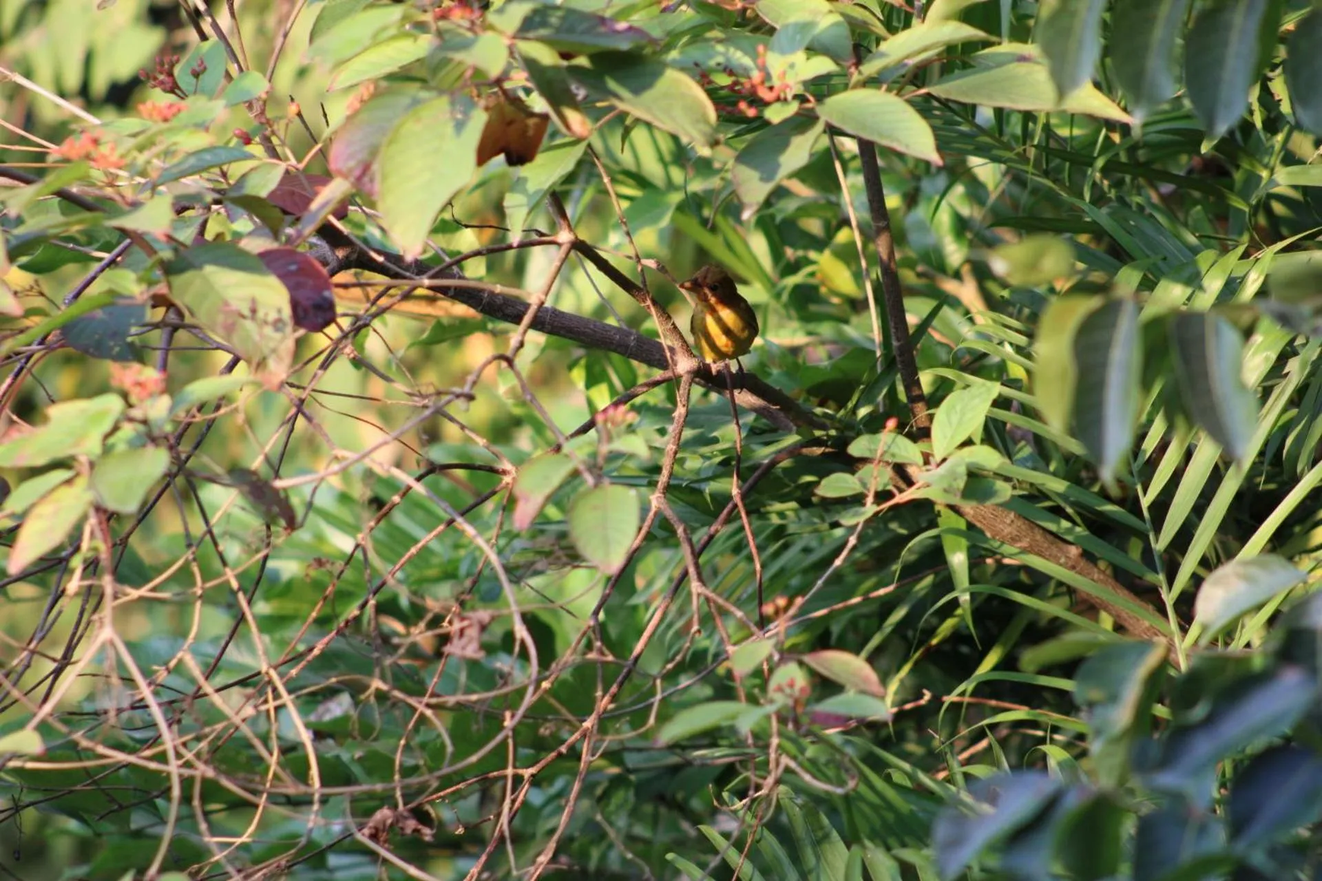 Garden in Posada del Cerro