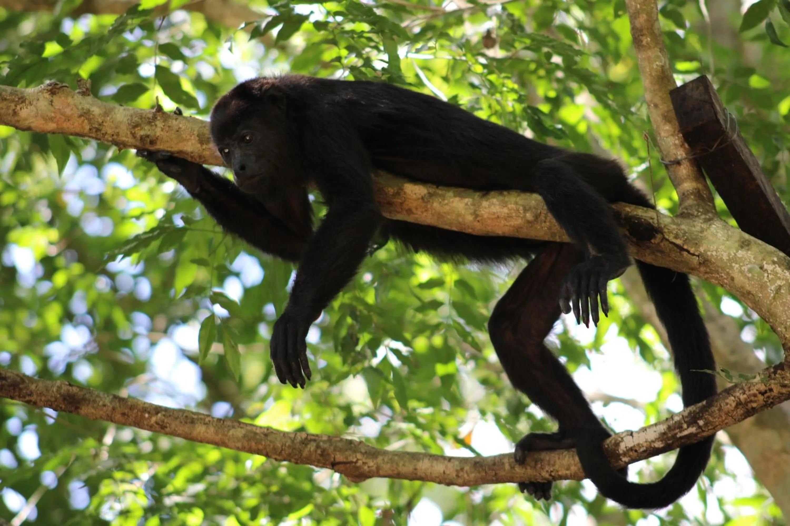 Natural landscape in Posada del Cerro