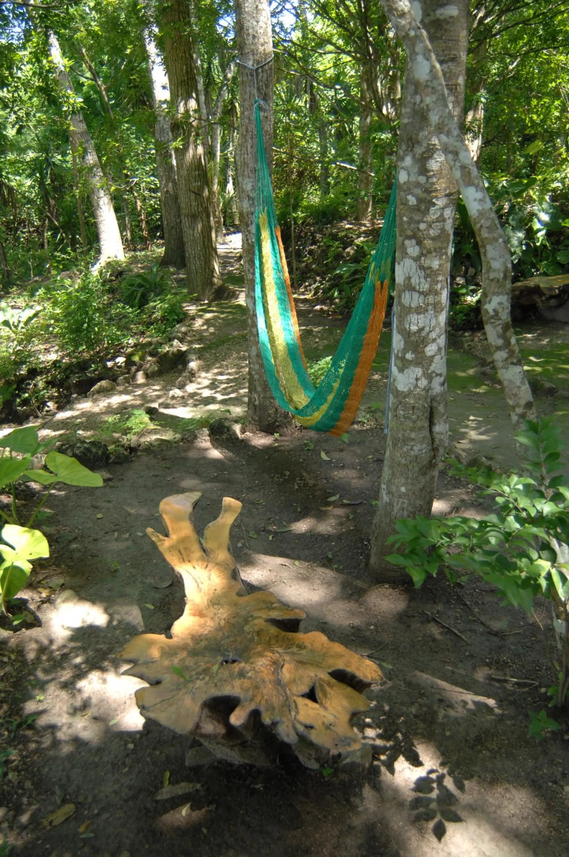 Garden in Posada del Cerro