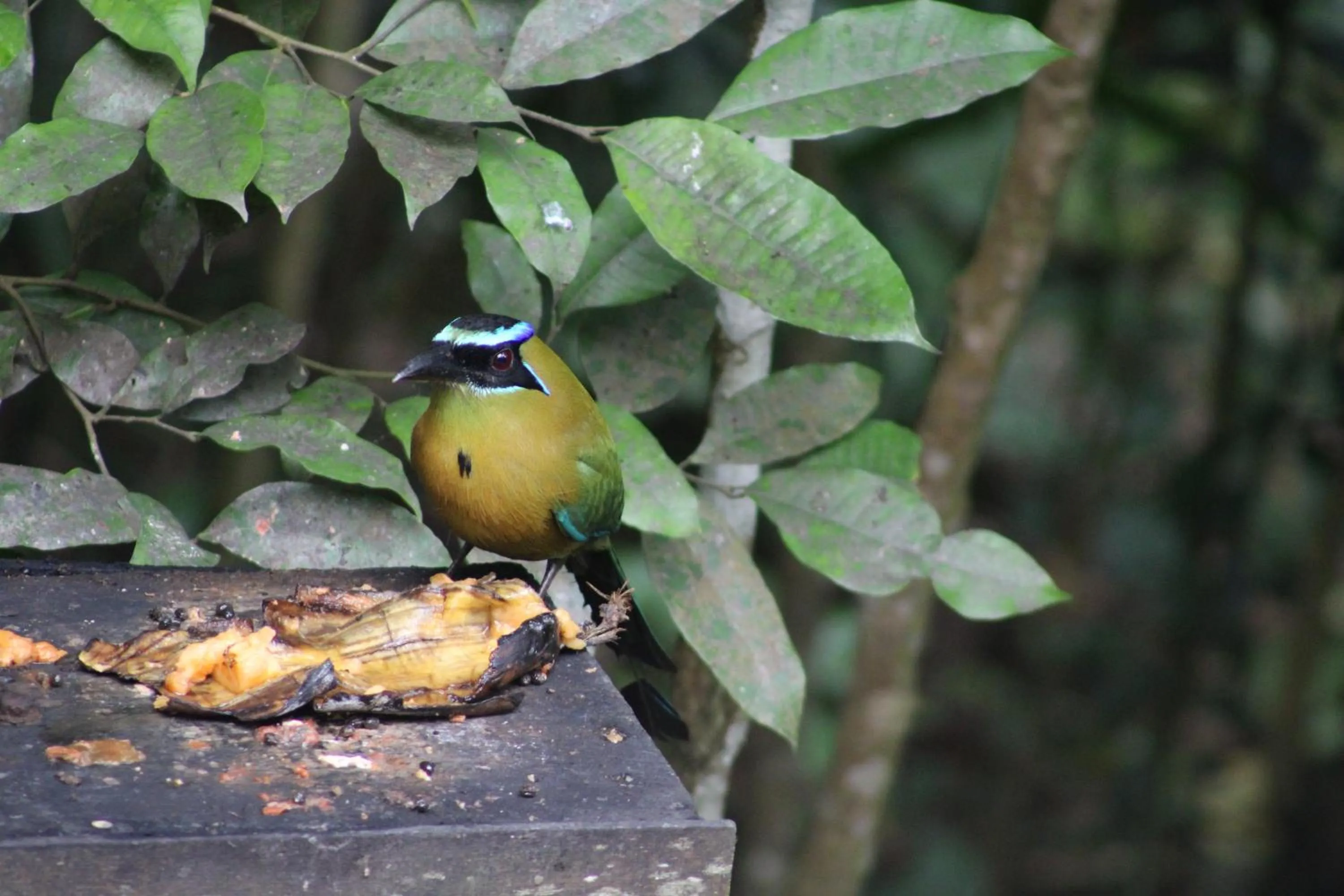 Natural landscape in Posada del Cerro