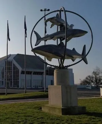 Hôtel Alexandra Centre Ville