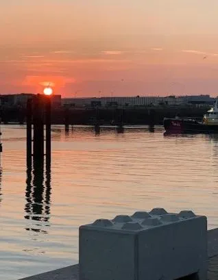 Hôtel Alexandra Centre Ville