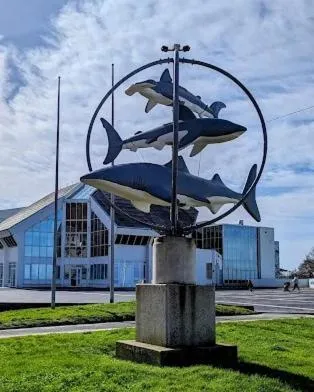 Hôtel Alexandra Centre Ville