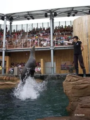 Hôtel Alexandra Centre Ville