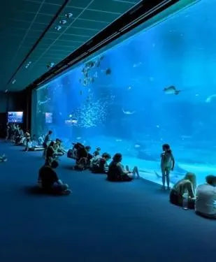 Hôtel Alexandra Centre Ville