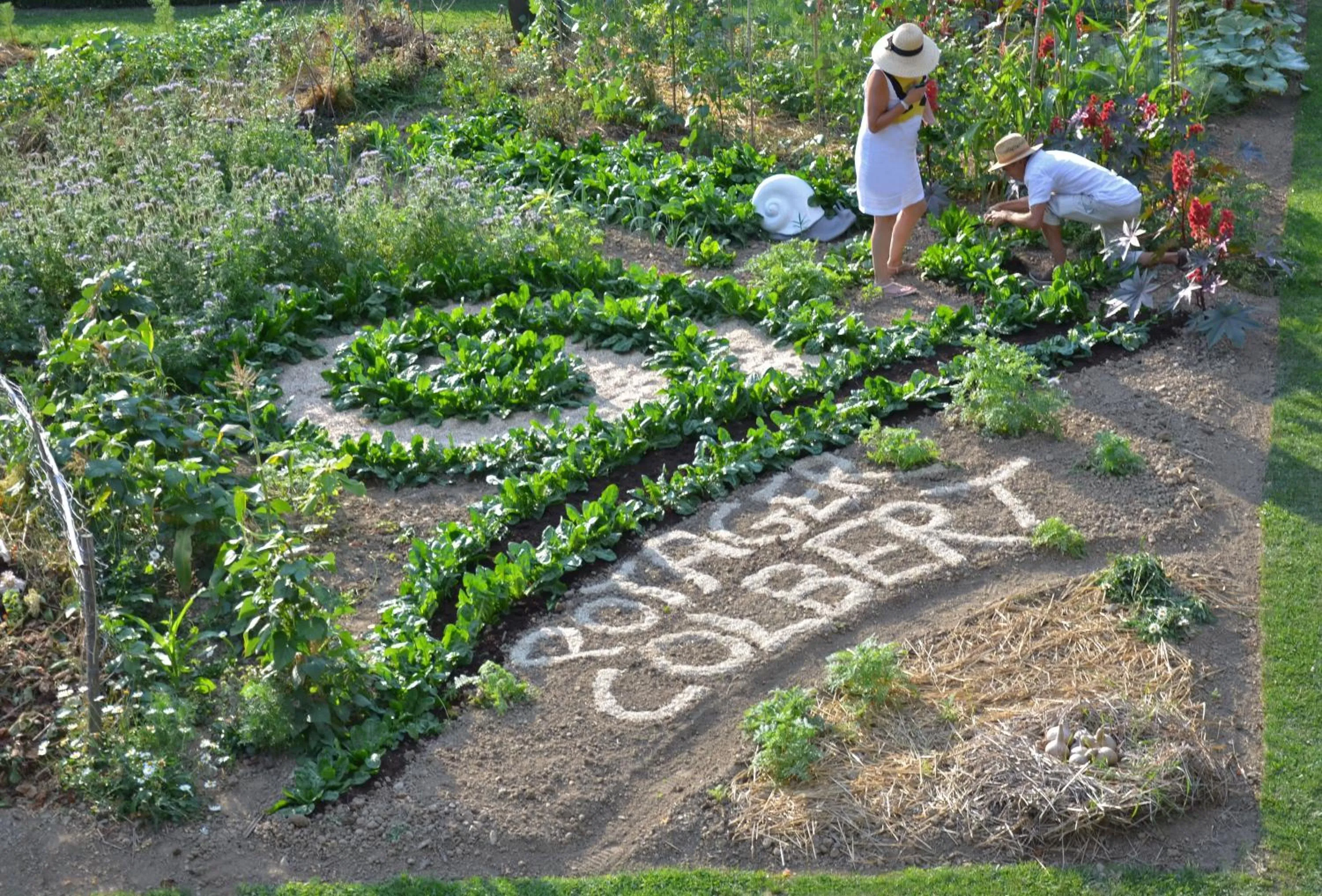 Garden in Chateau Colbert