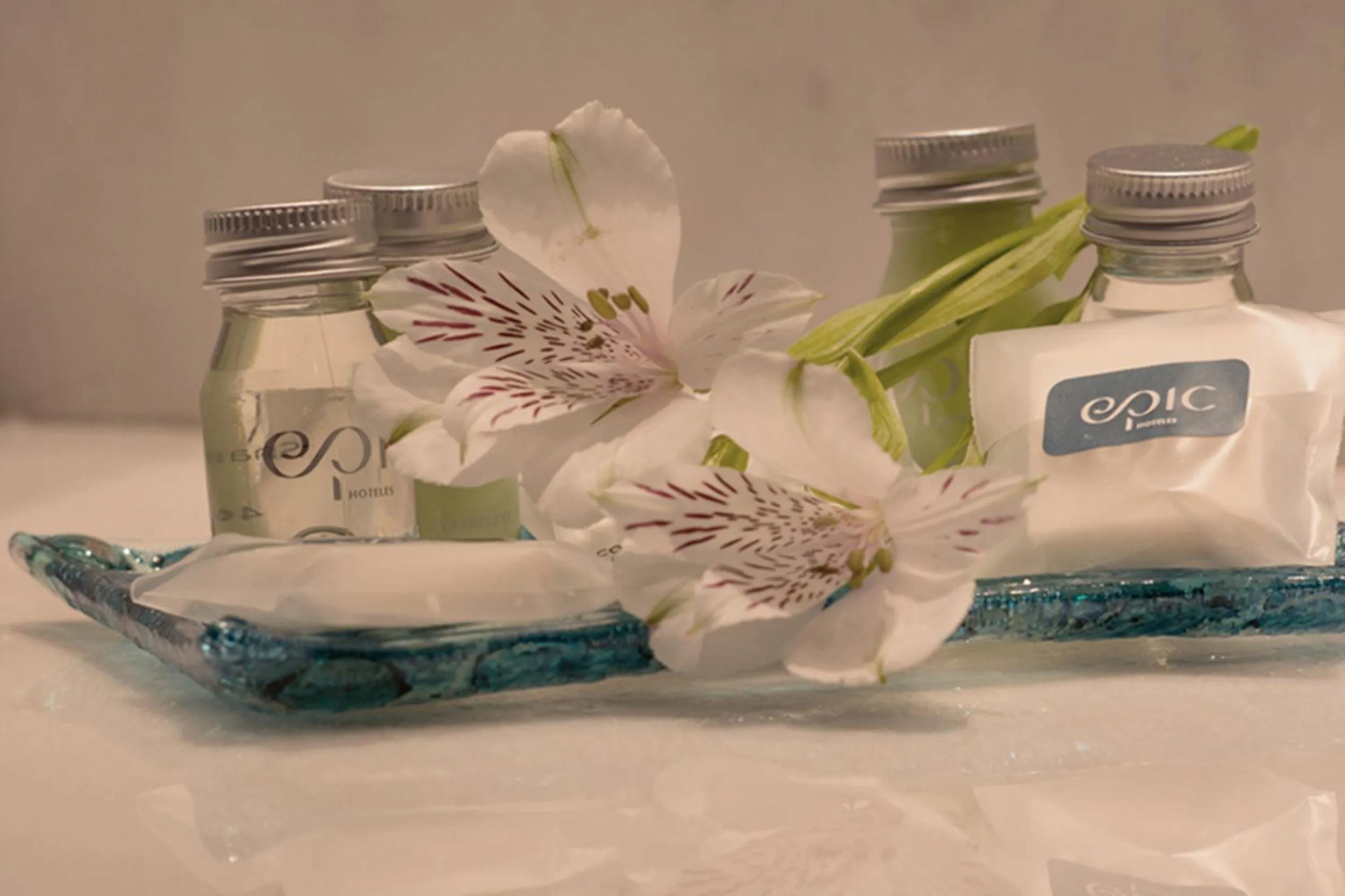 Toilet in Epic Hotel Villa de Merlo