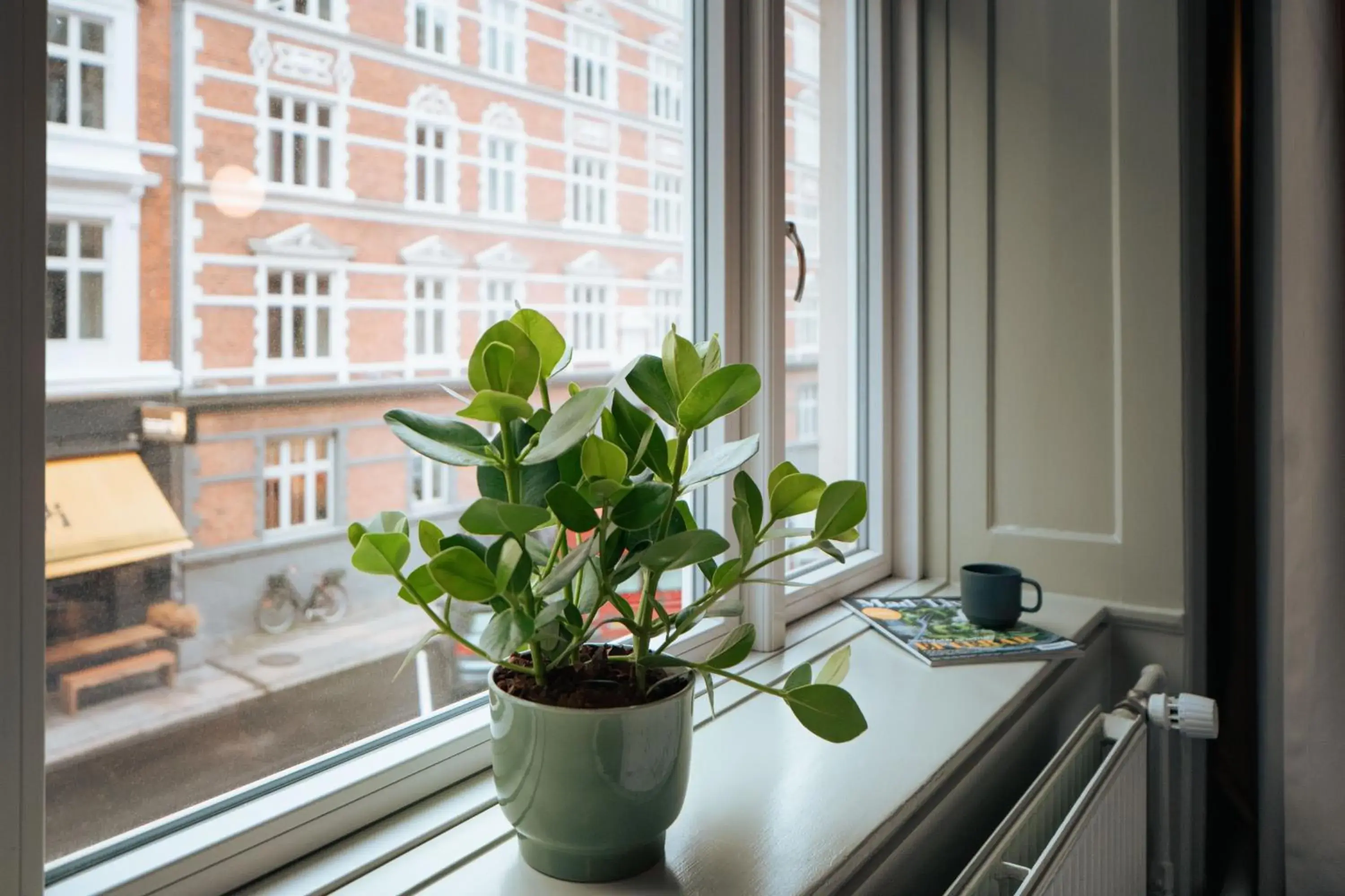 View (from property/room) in Hotel Mayfair View (from property/room) in Hotel Mayfair