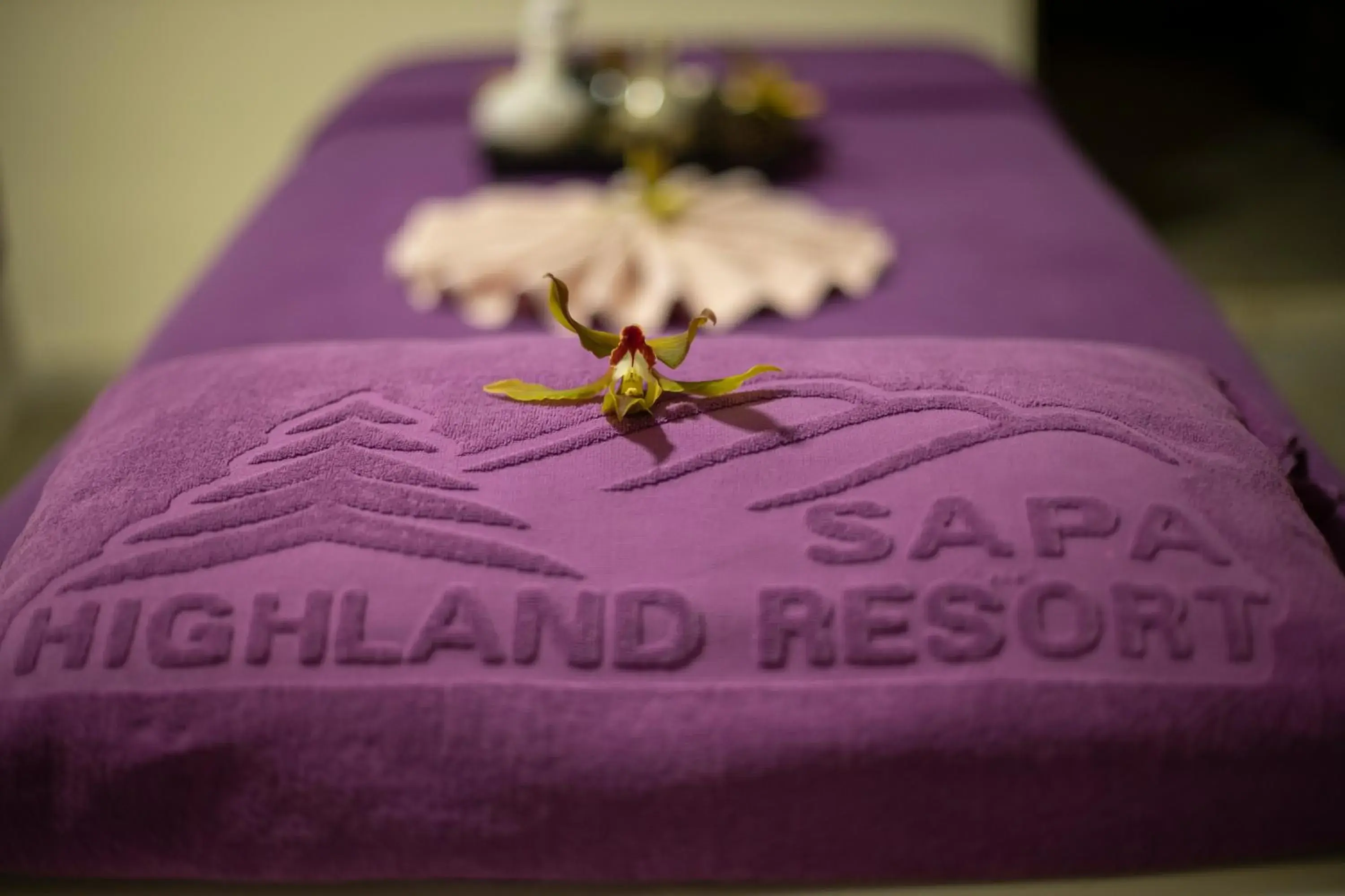 Spa and wellness centre/facilities in Sapa Highland Resort & Spa Spa and wellness centre/facilities in Sapa Highland Resort & Spa