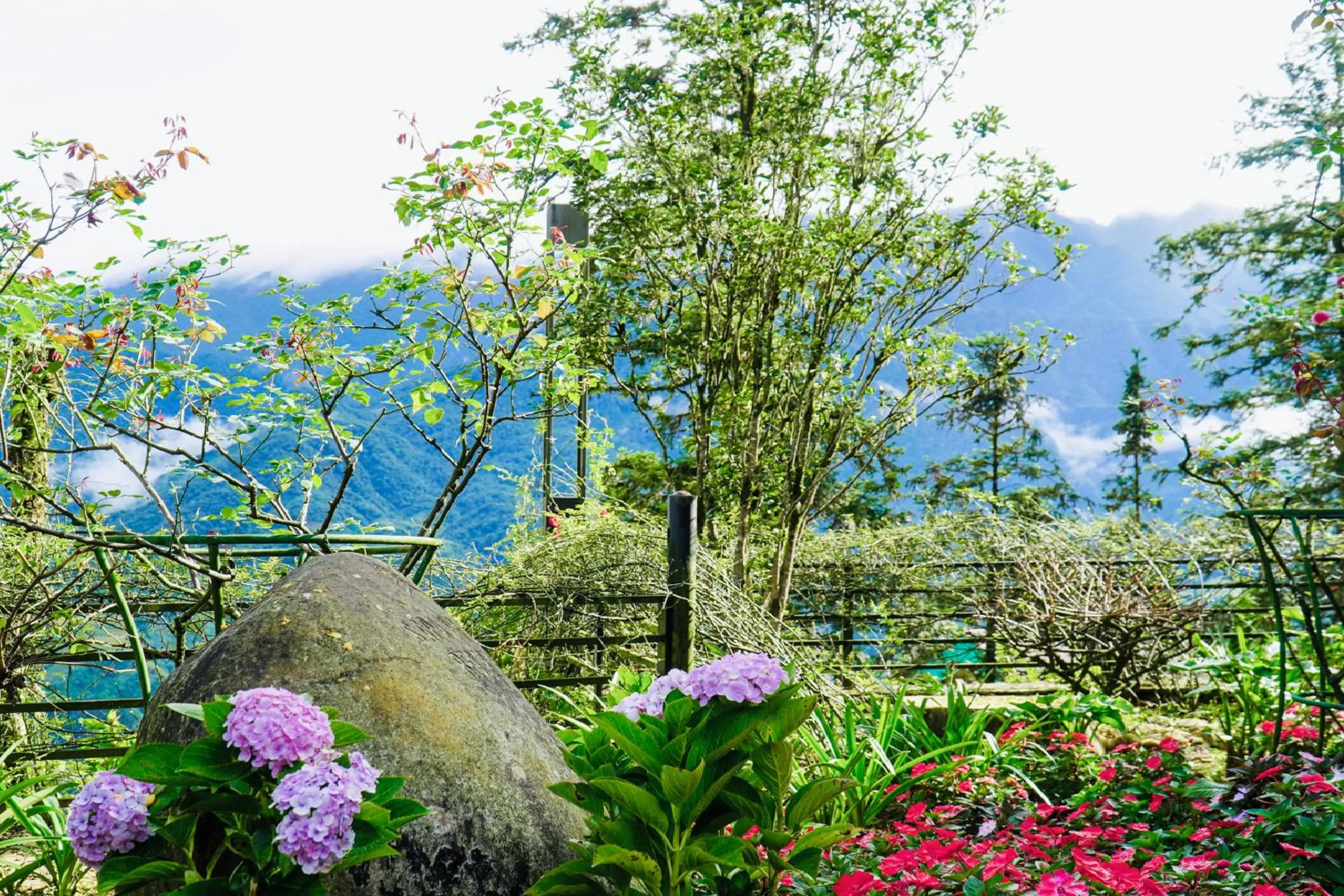 Garden in Sapa Highland Resort & Spa