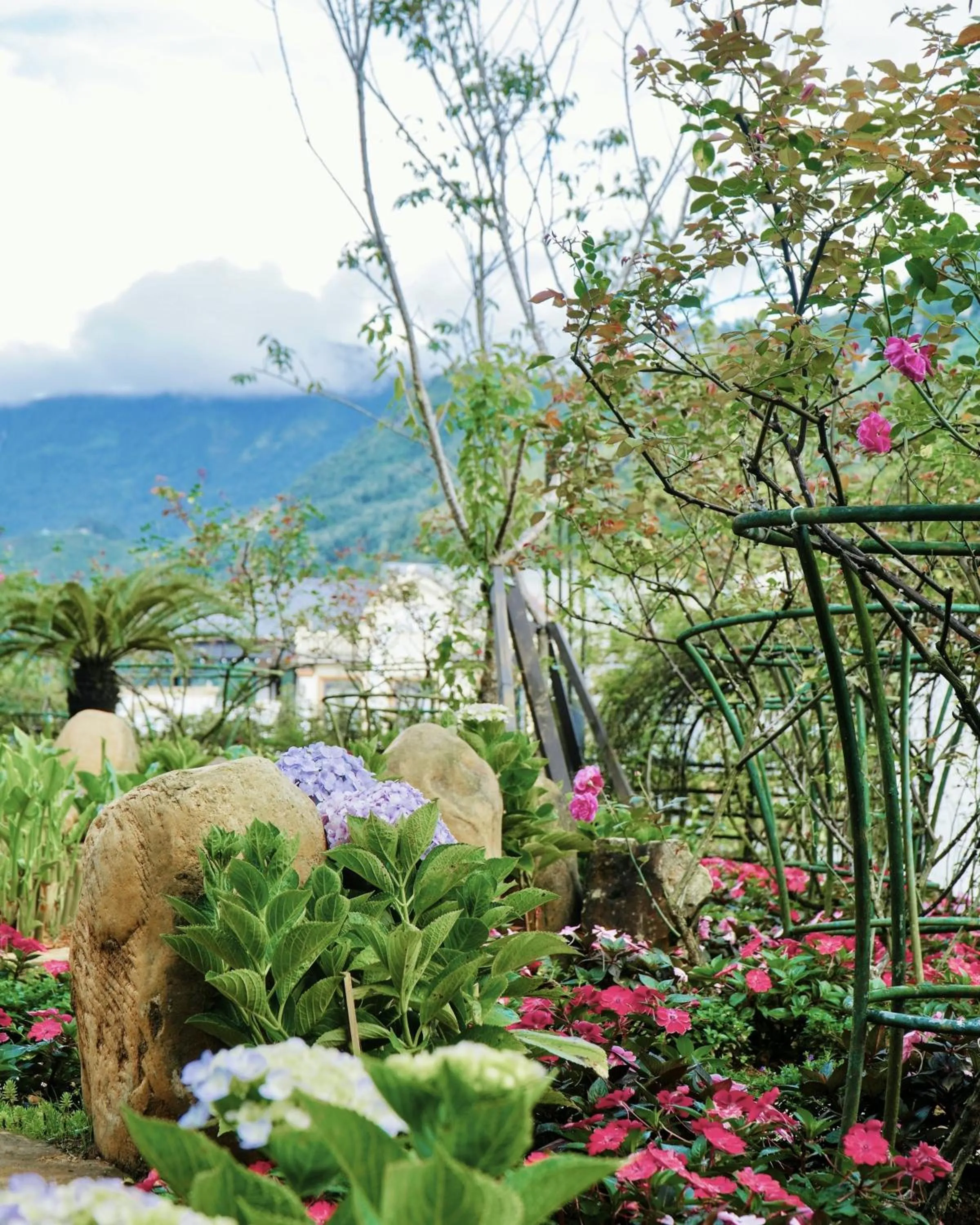 Garden in Sapa Highland Resort & Spa