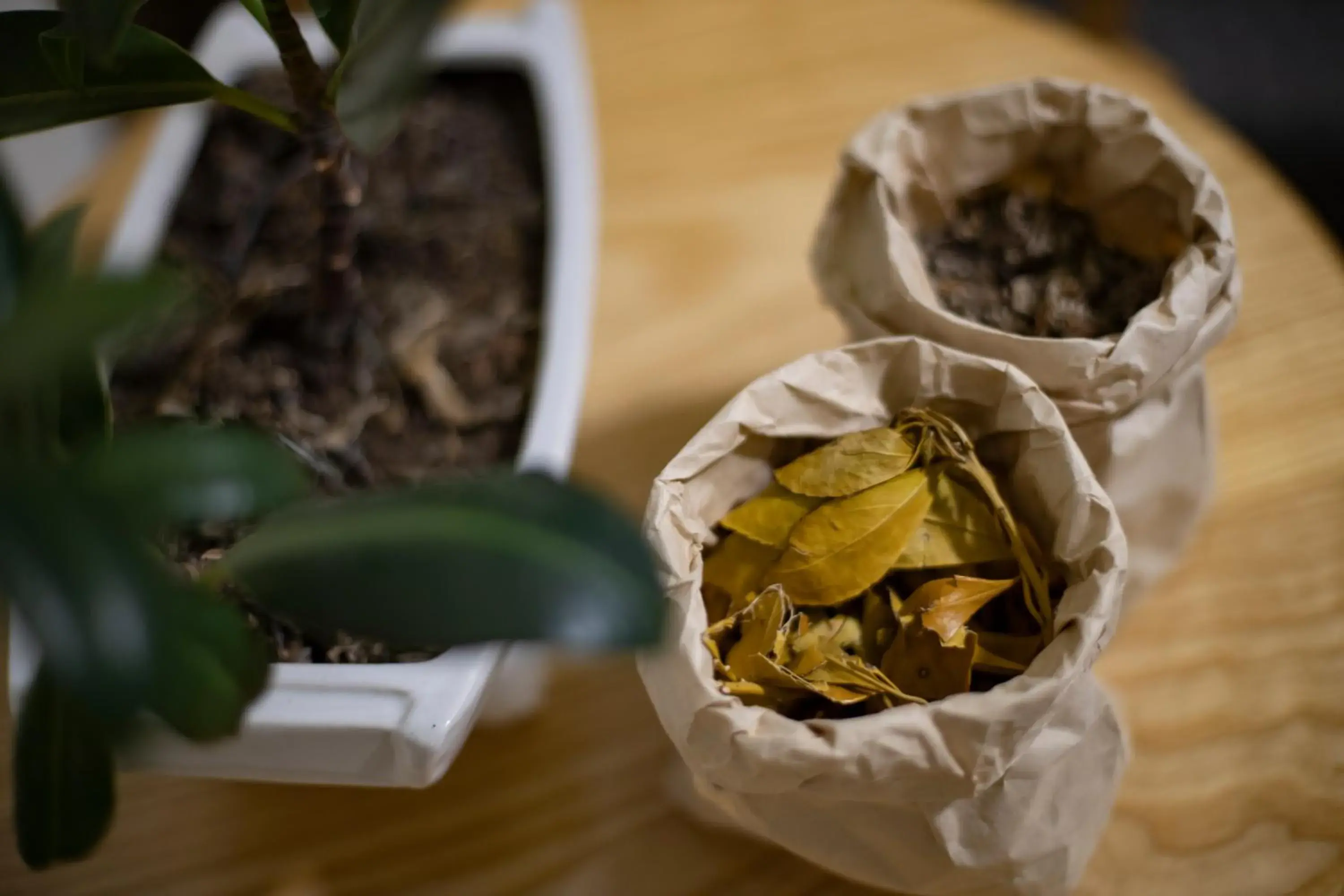 Spa and wellness centre/facilities in Sapa Highland Resort & Spa Spa and wellness centre/facilities in Sapa Highland Resort & Spa