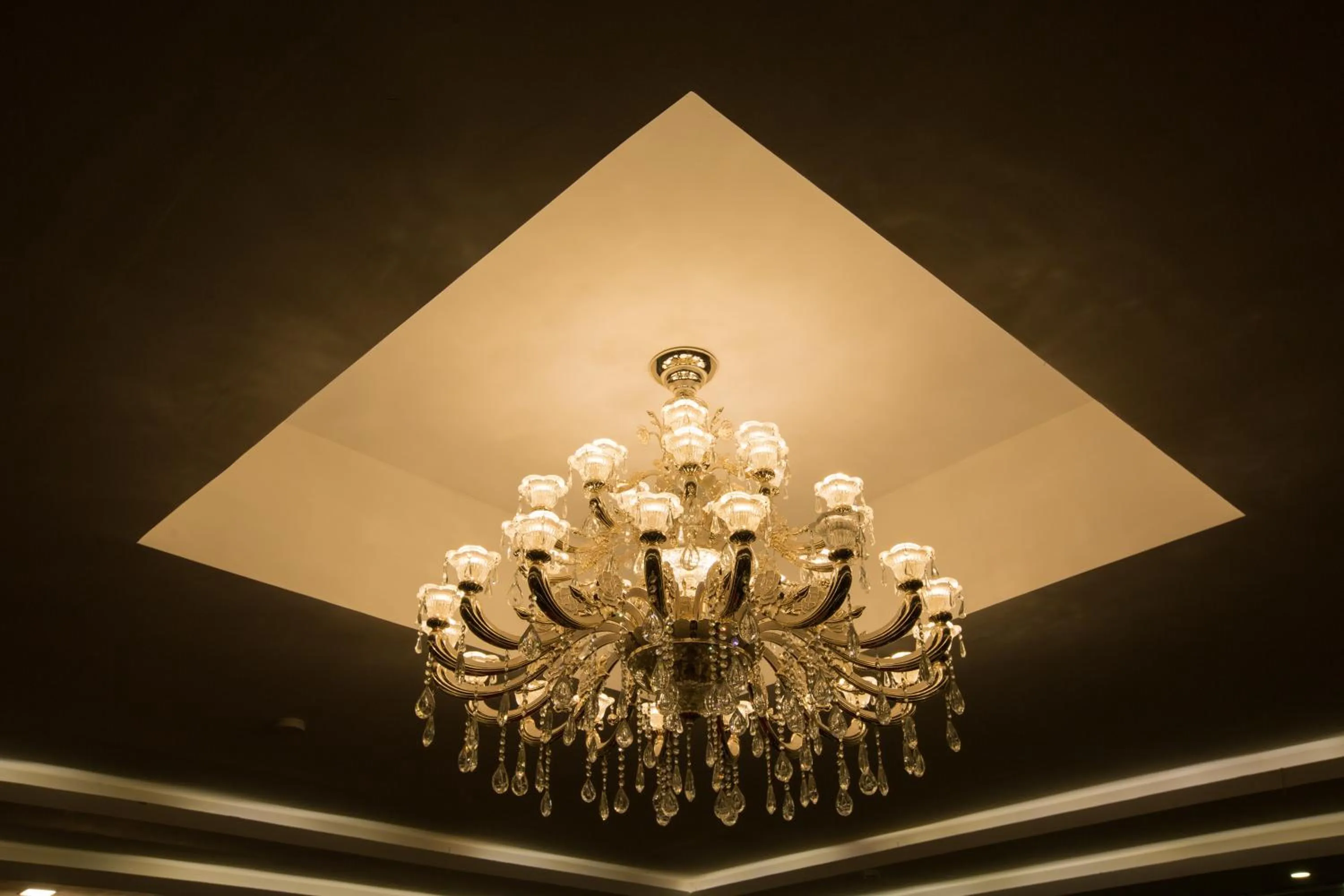 Banquet/Function facilities in TSG Emerald View Hotel and SPA