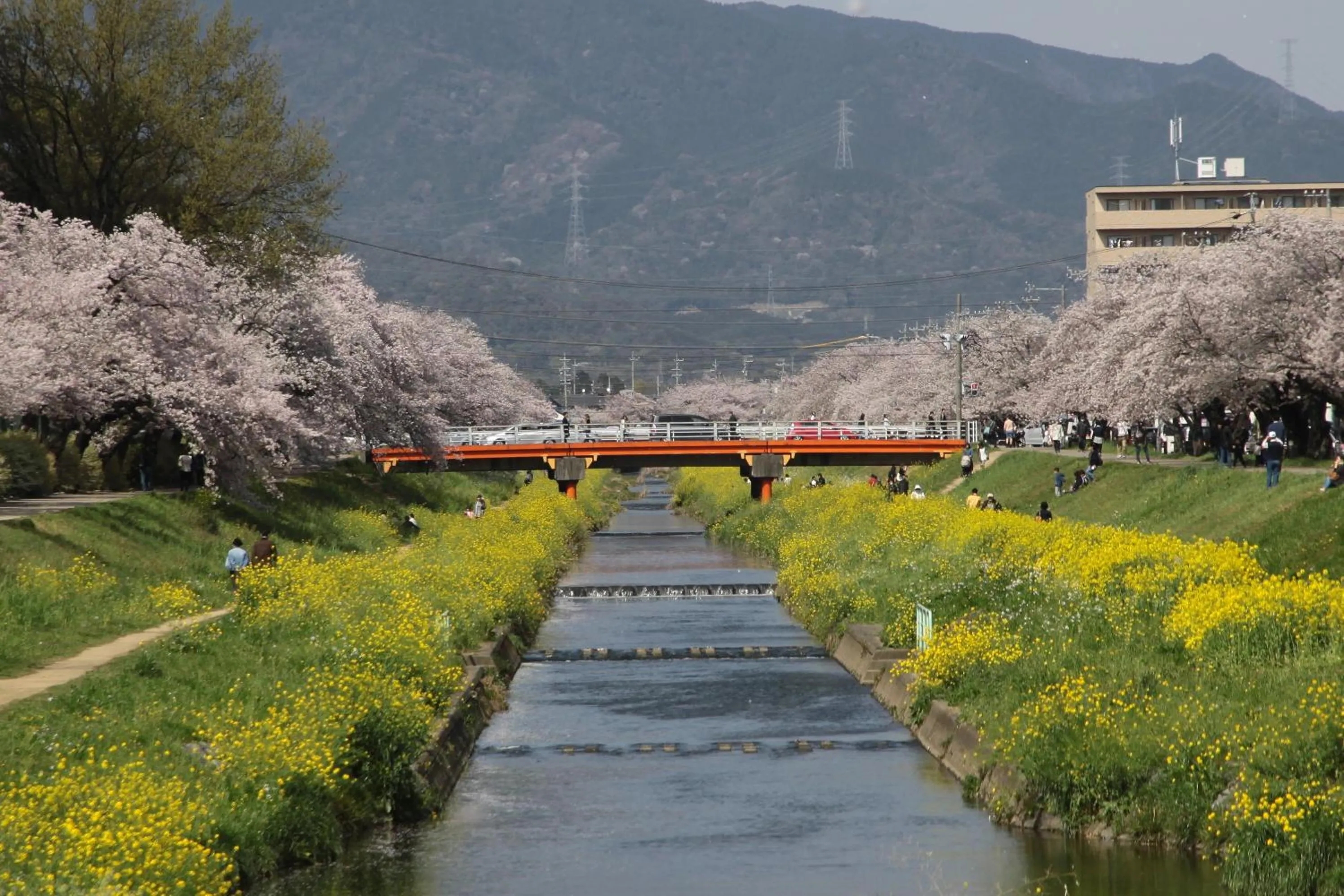 Natural landscape in Toyokawa Grand Hotel