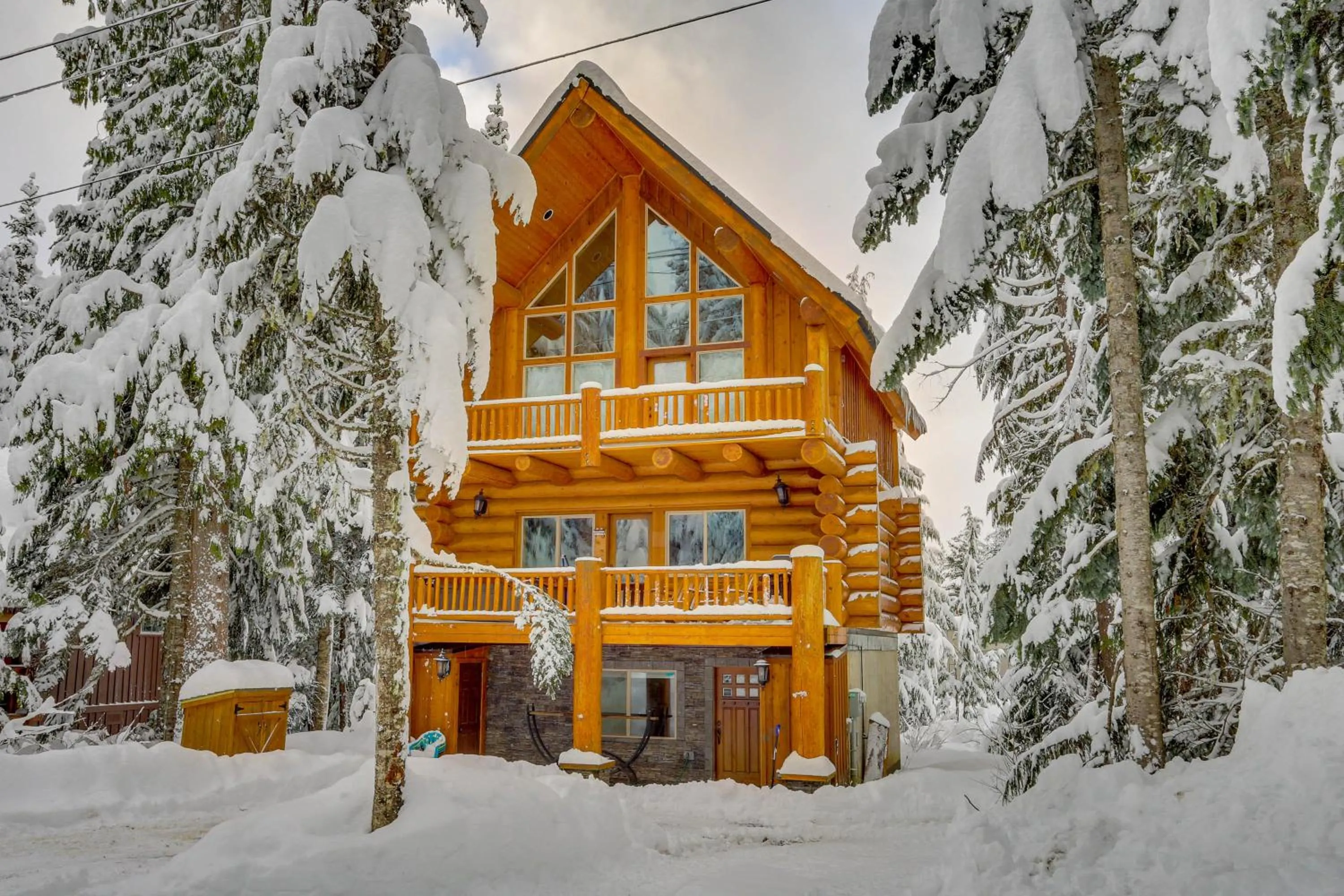 Skiing Bear Chalet