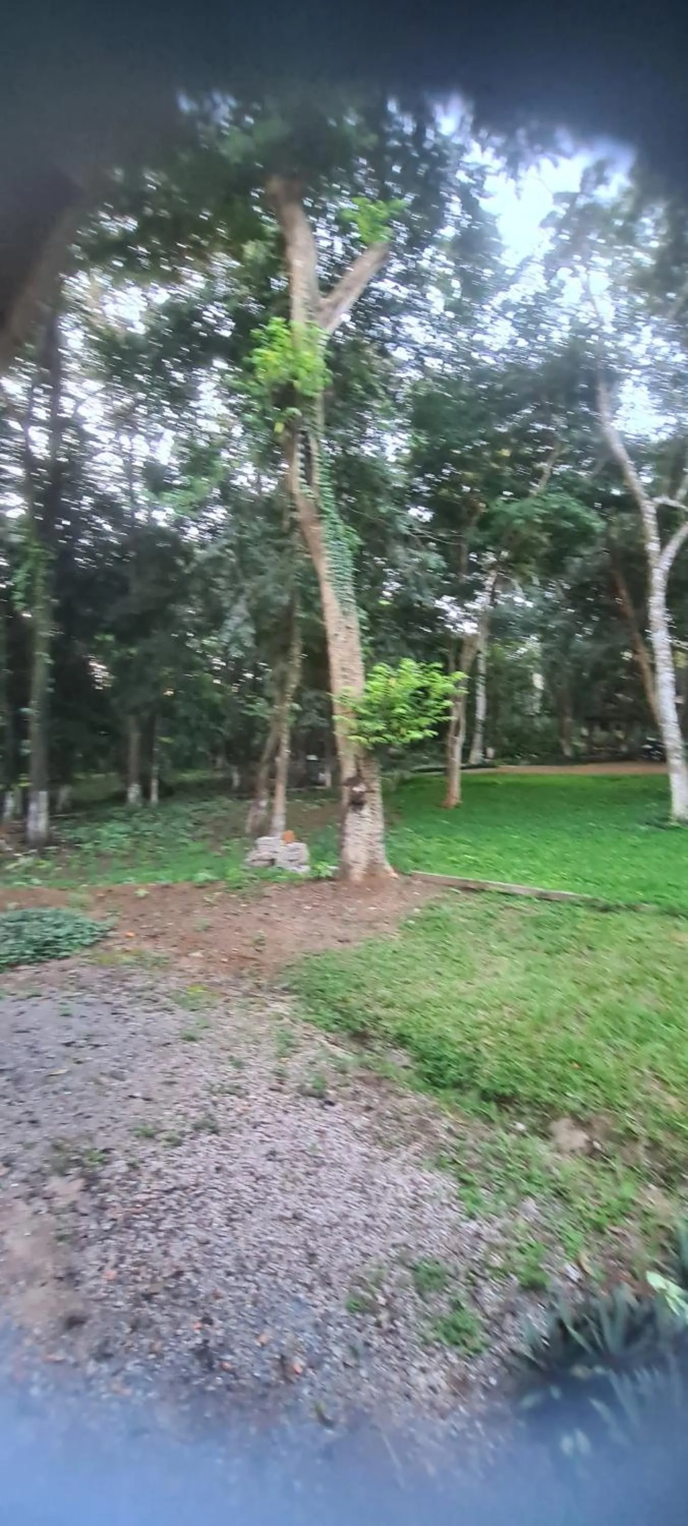 Garden view in Bosque São Francisco