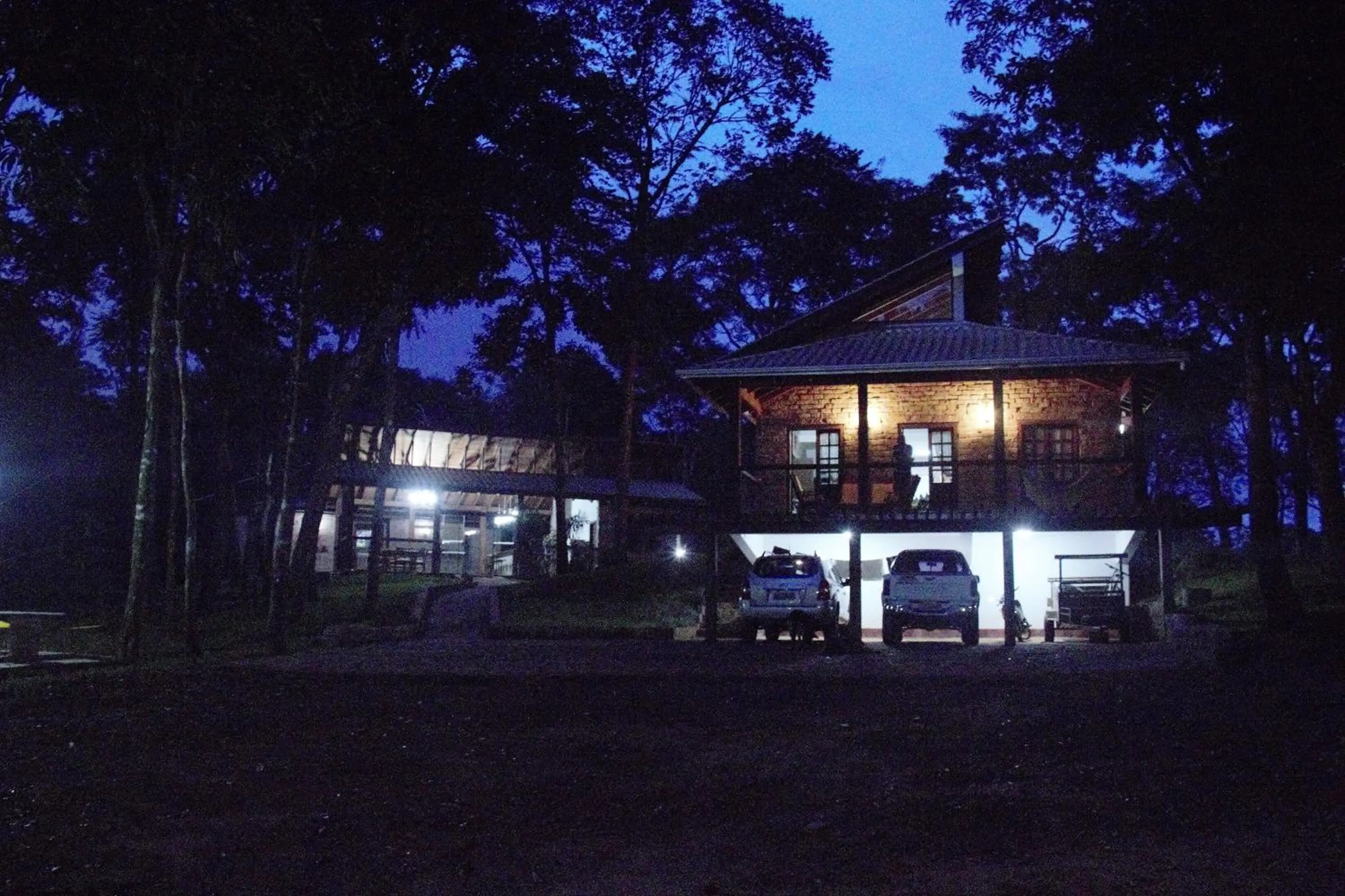 Bosque São Francisco