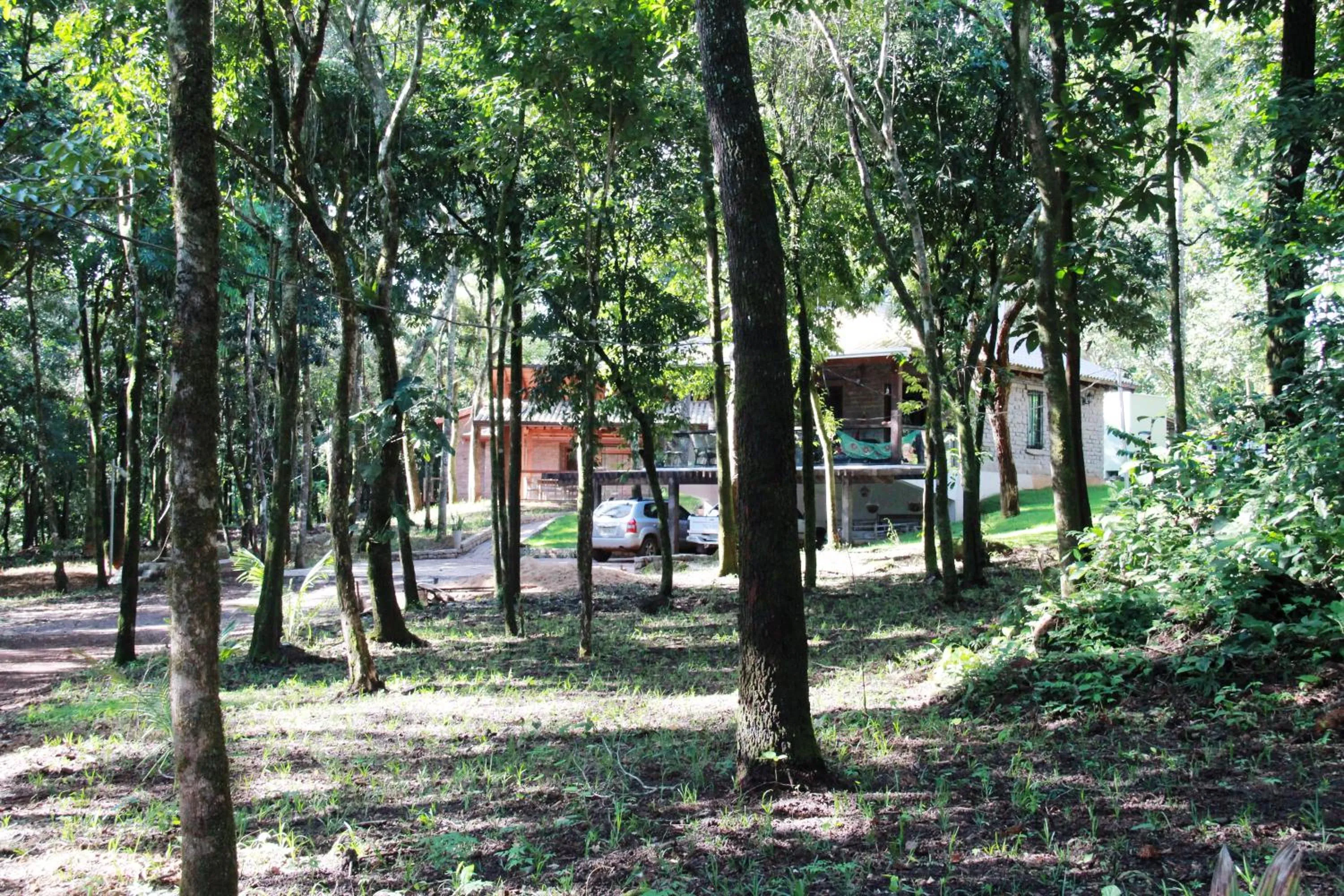 Bosque São Francisco
